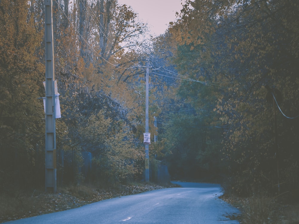 an empty road in the middle of a wooded area