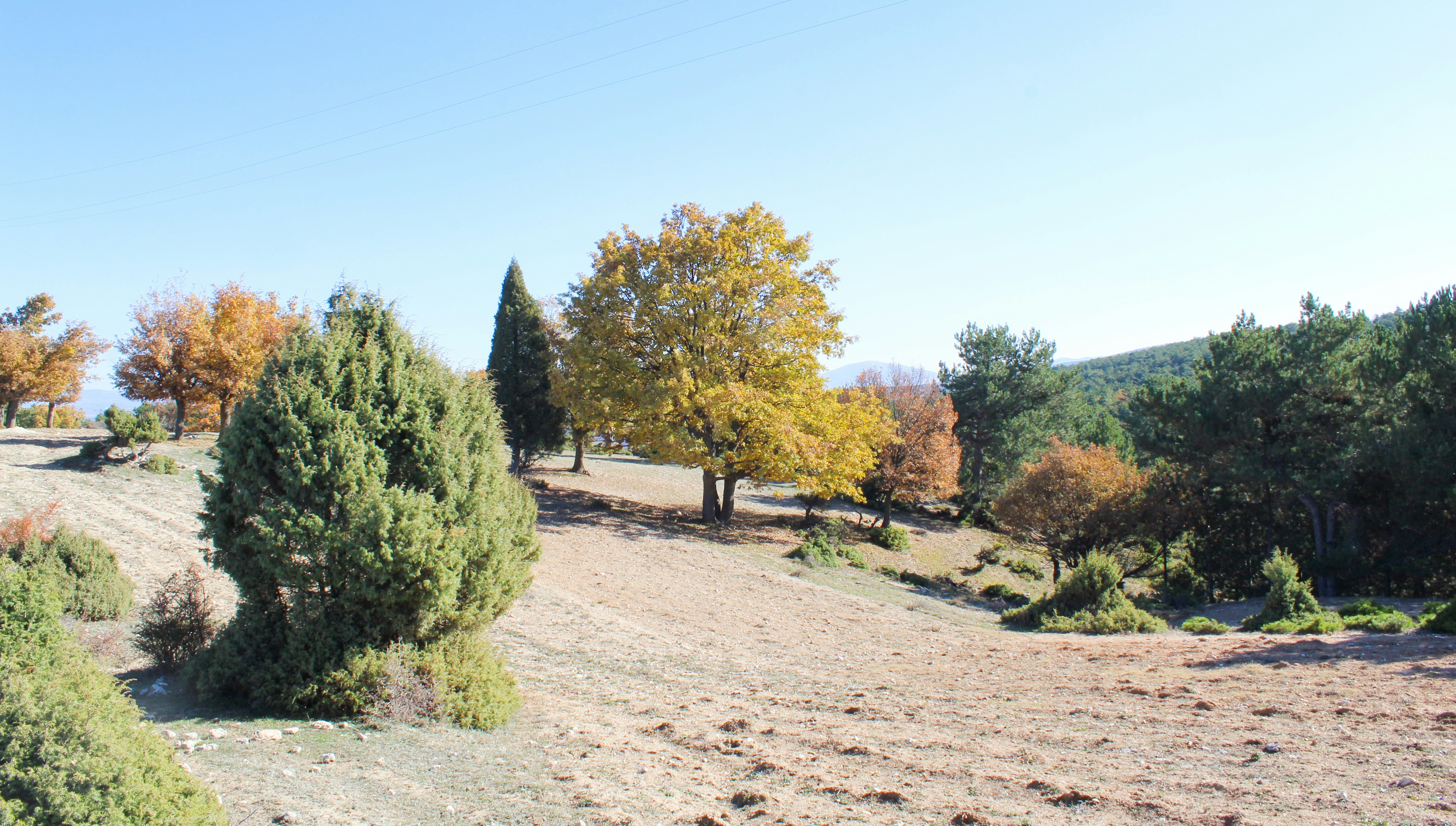 Image by Mustafa akın via Unsplash