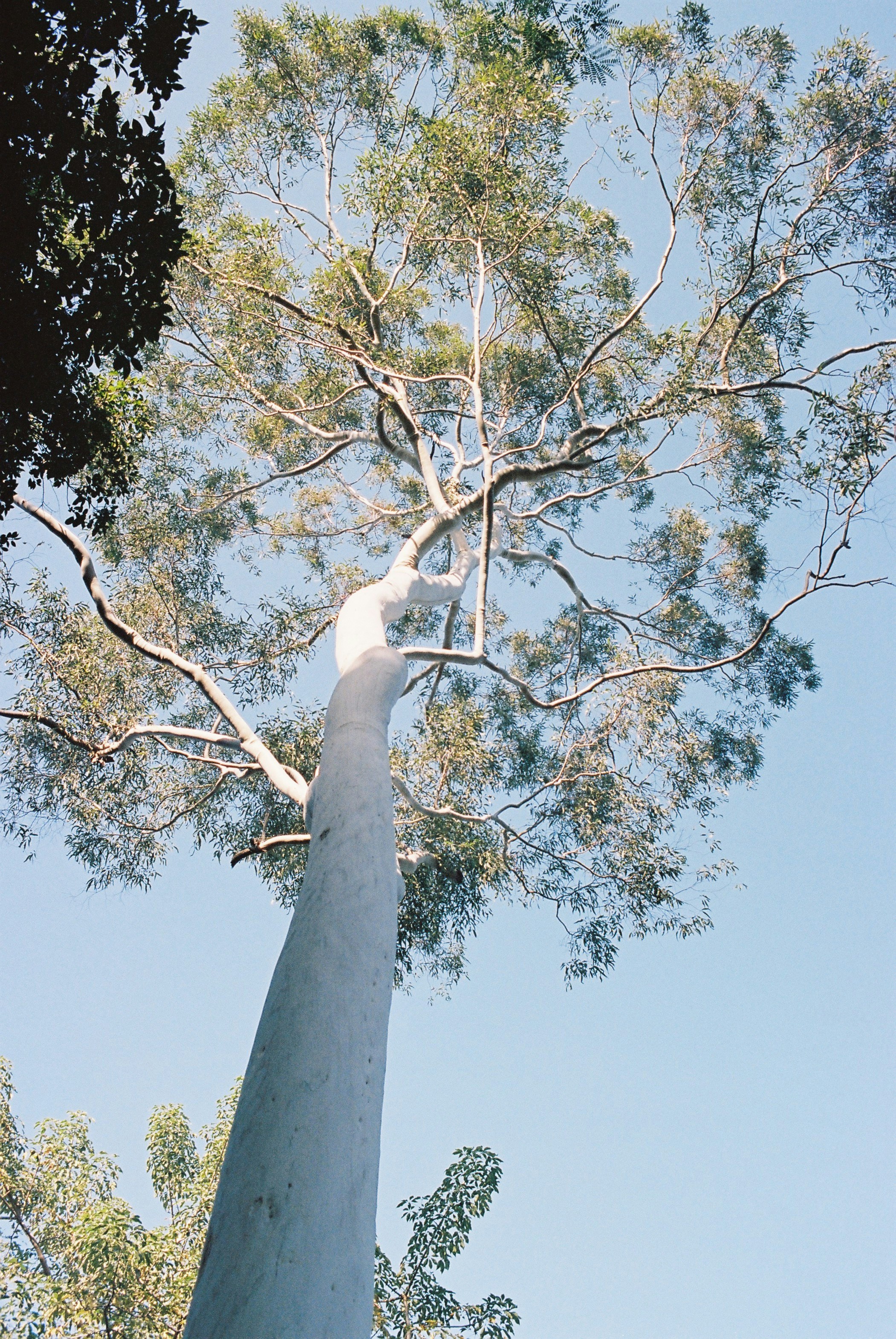 Photo by angrybluebird