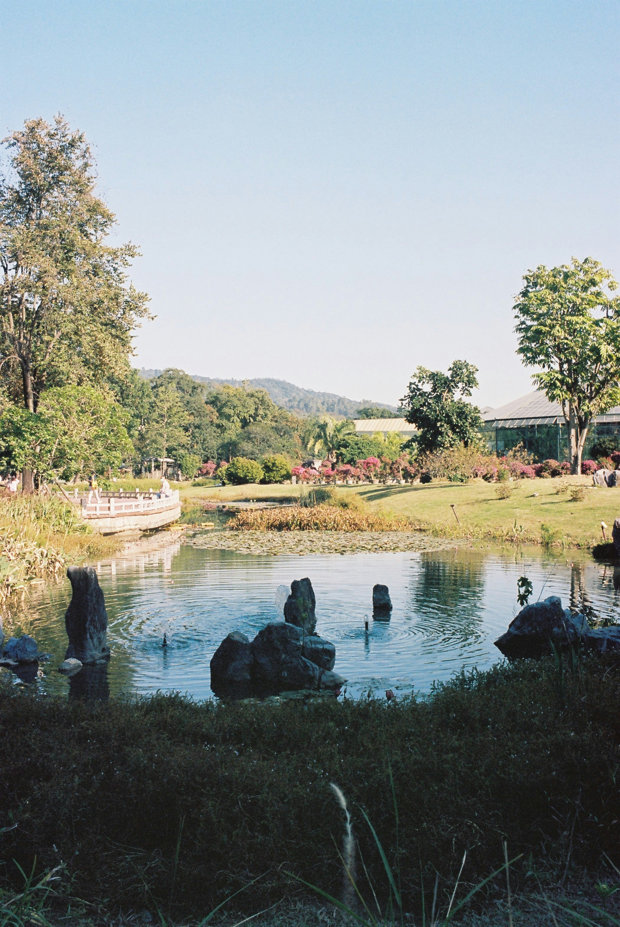 Water Margin Cultural Park photo 2