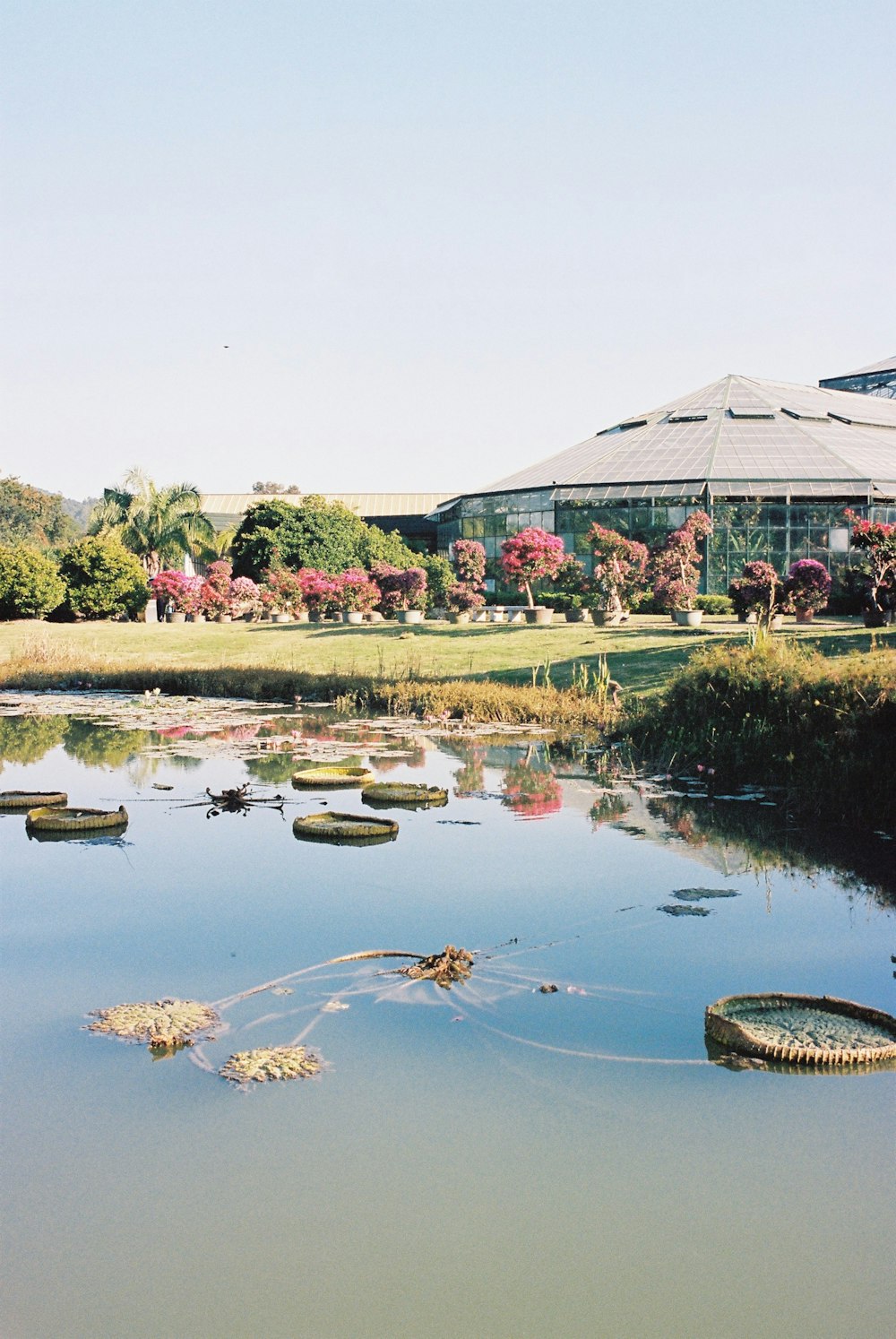 a pond with a building in the background