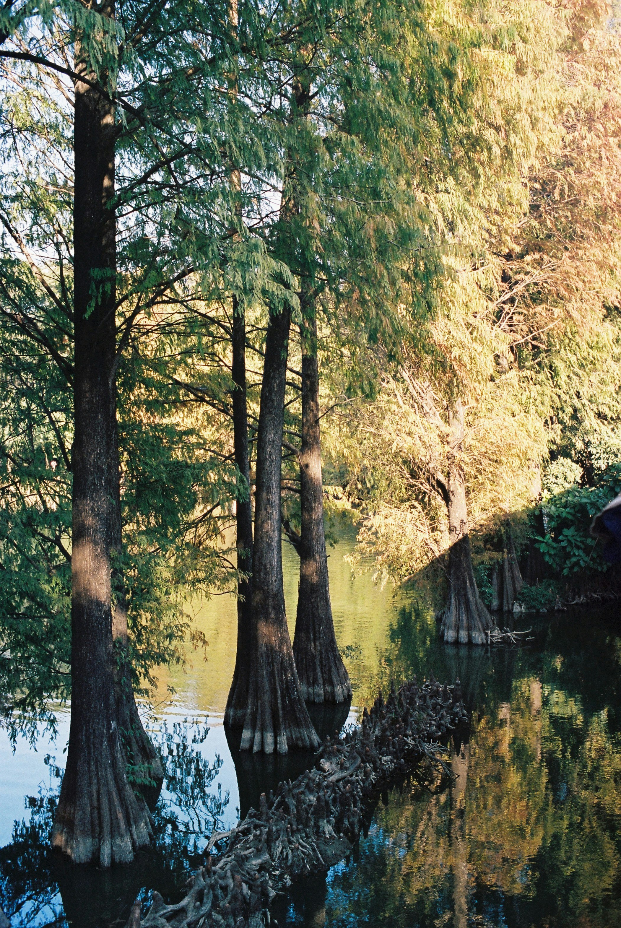 Photo by angrybluebird