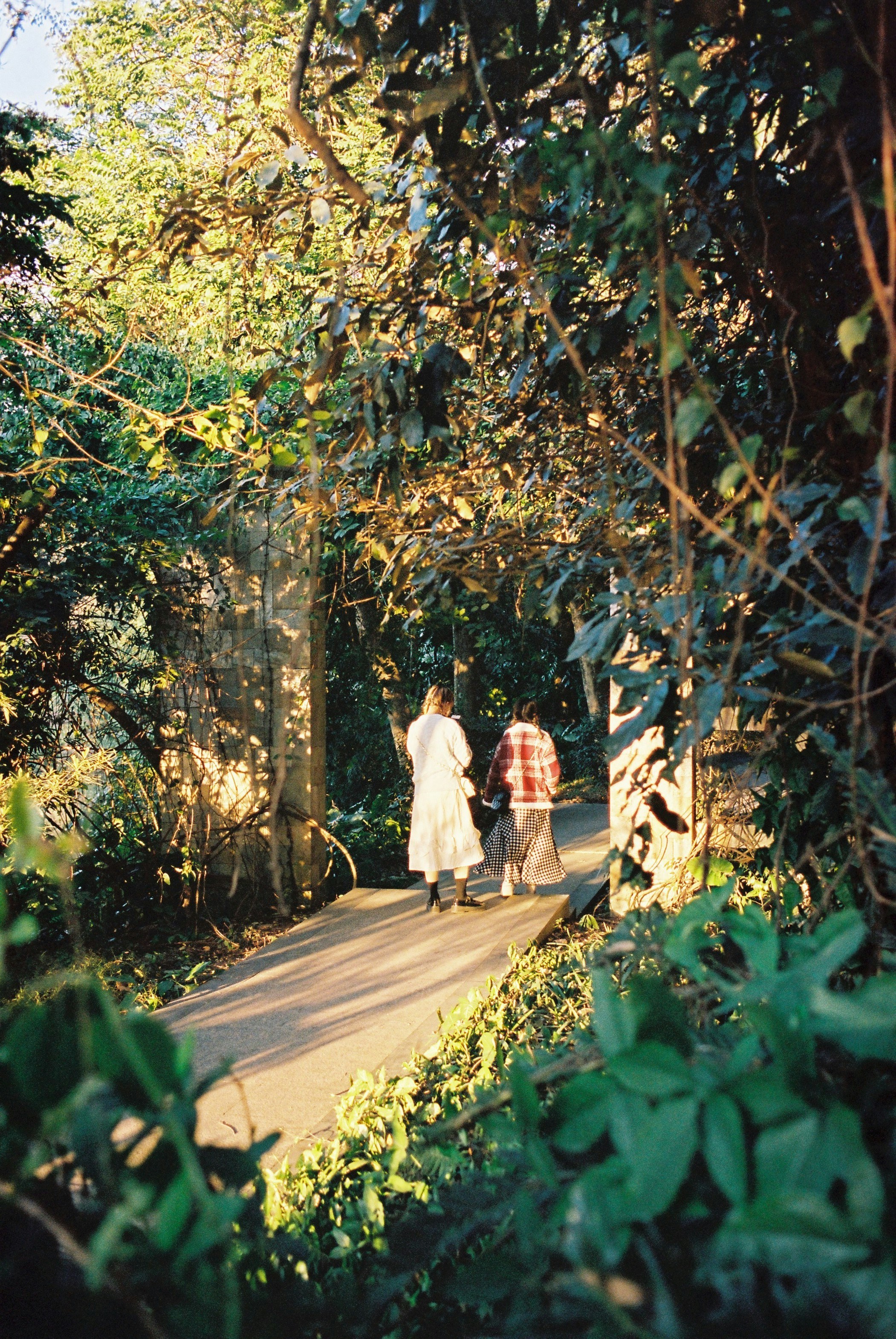 Family exploring a lush botanical garden in Maui