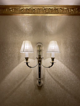 Classic wall sconce highlighting a sophisticated living room corner.