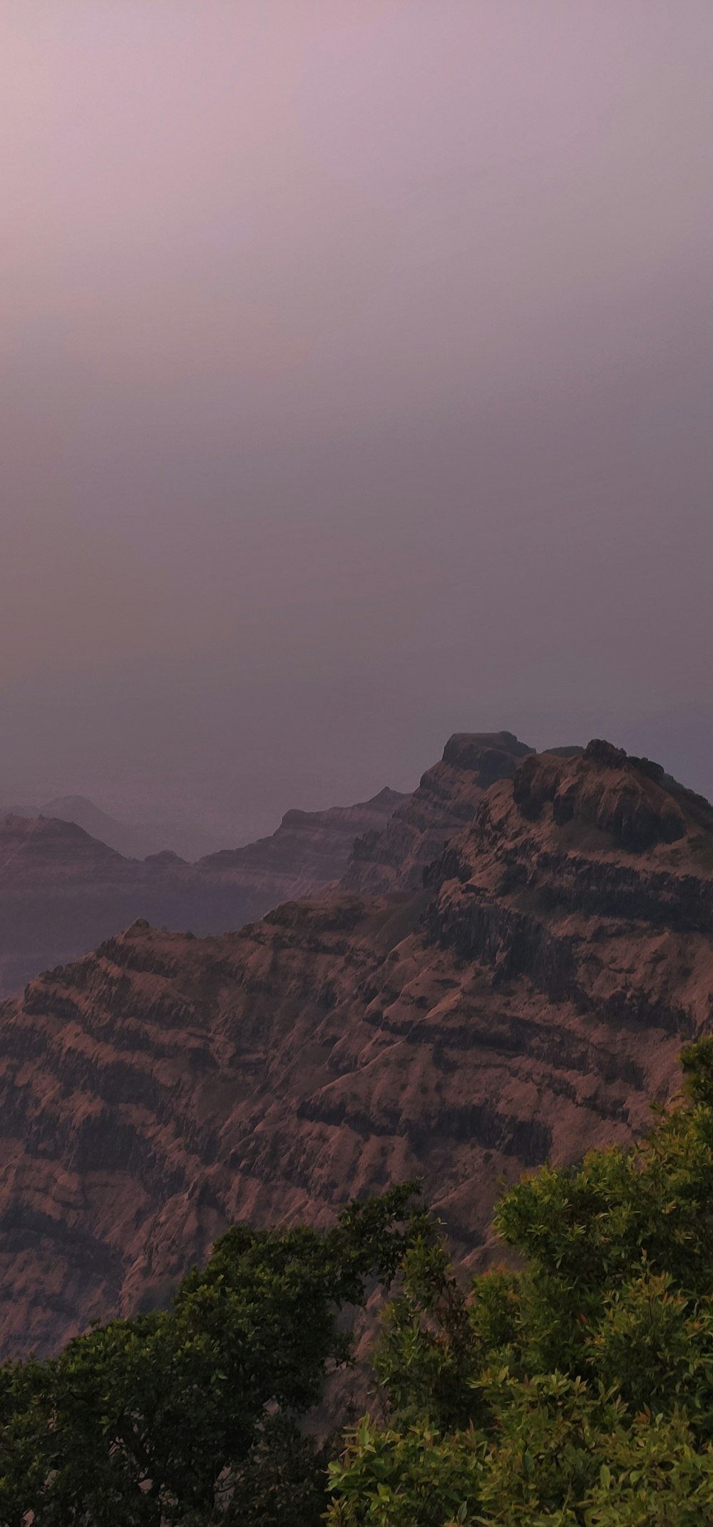 une vue d’une chaîne de montagnes avec des arbres au premier plan