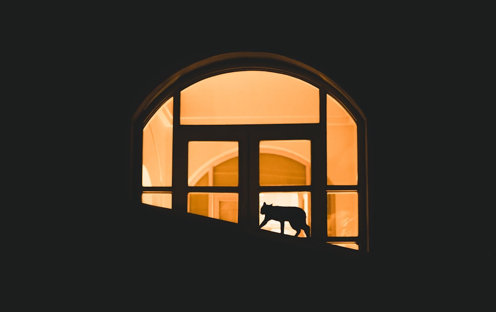 a silhouette of a dog is seen through a window