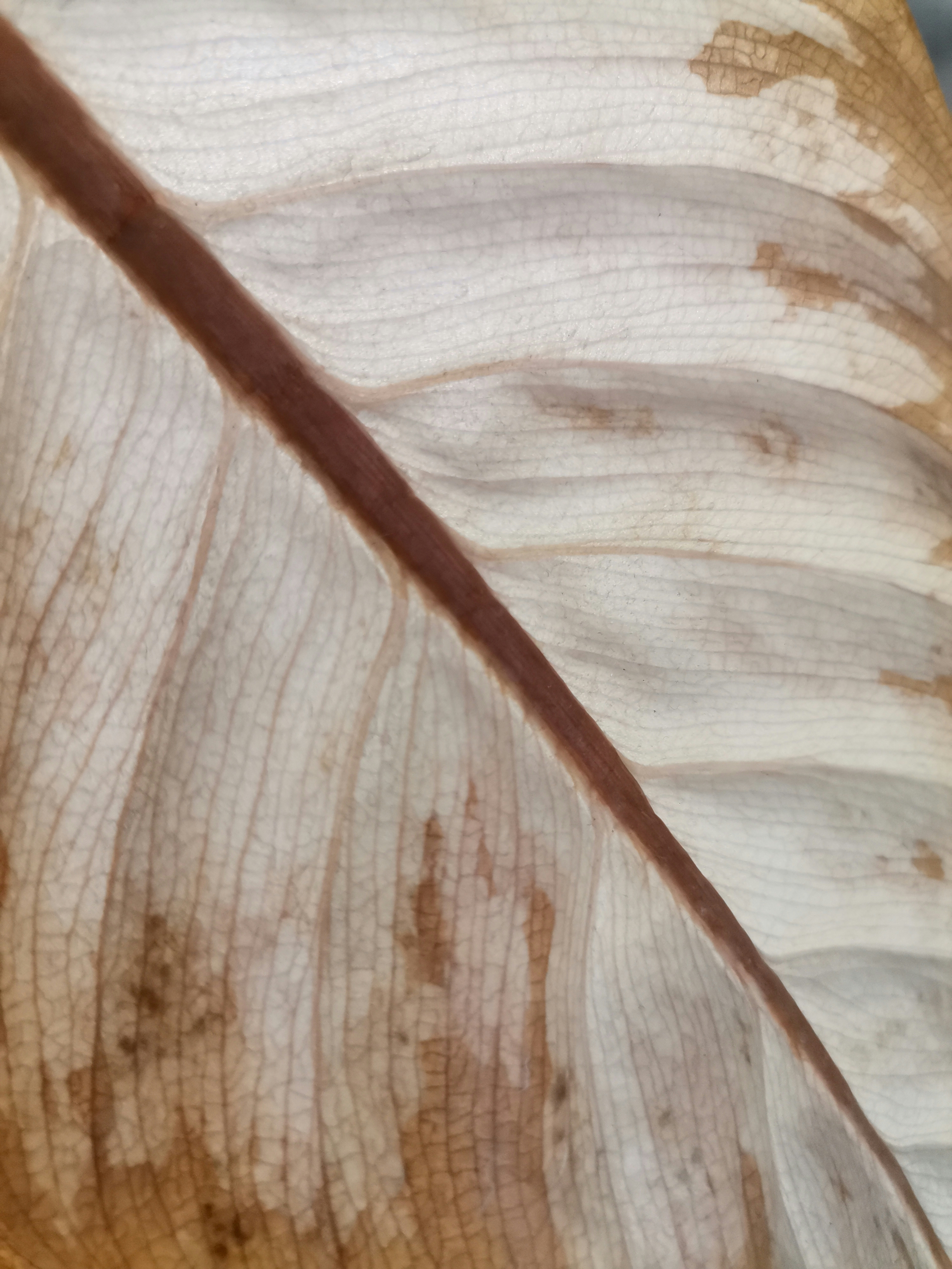 Photo by artwithnature