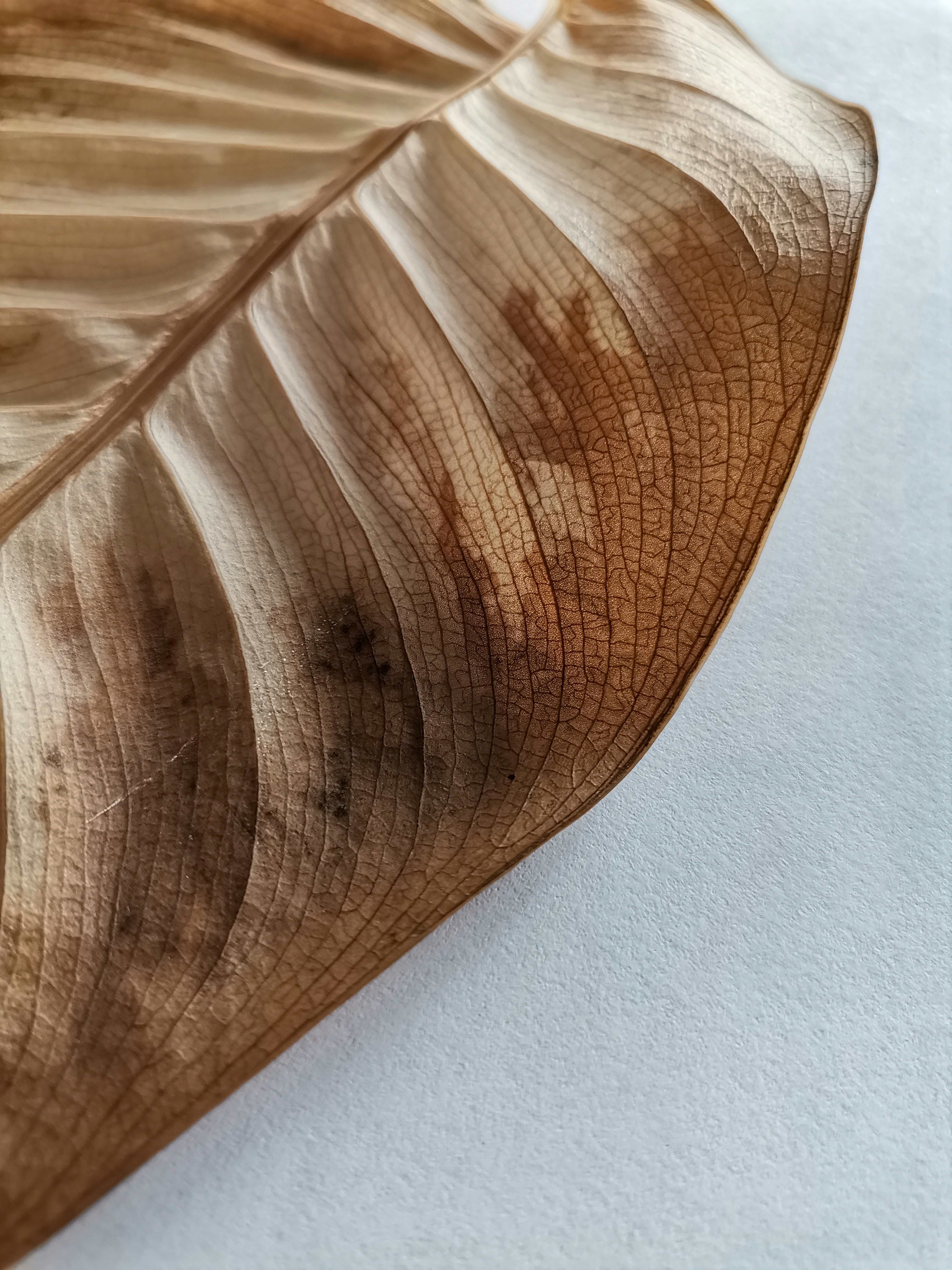 Photo by artwithnature