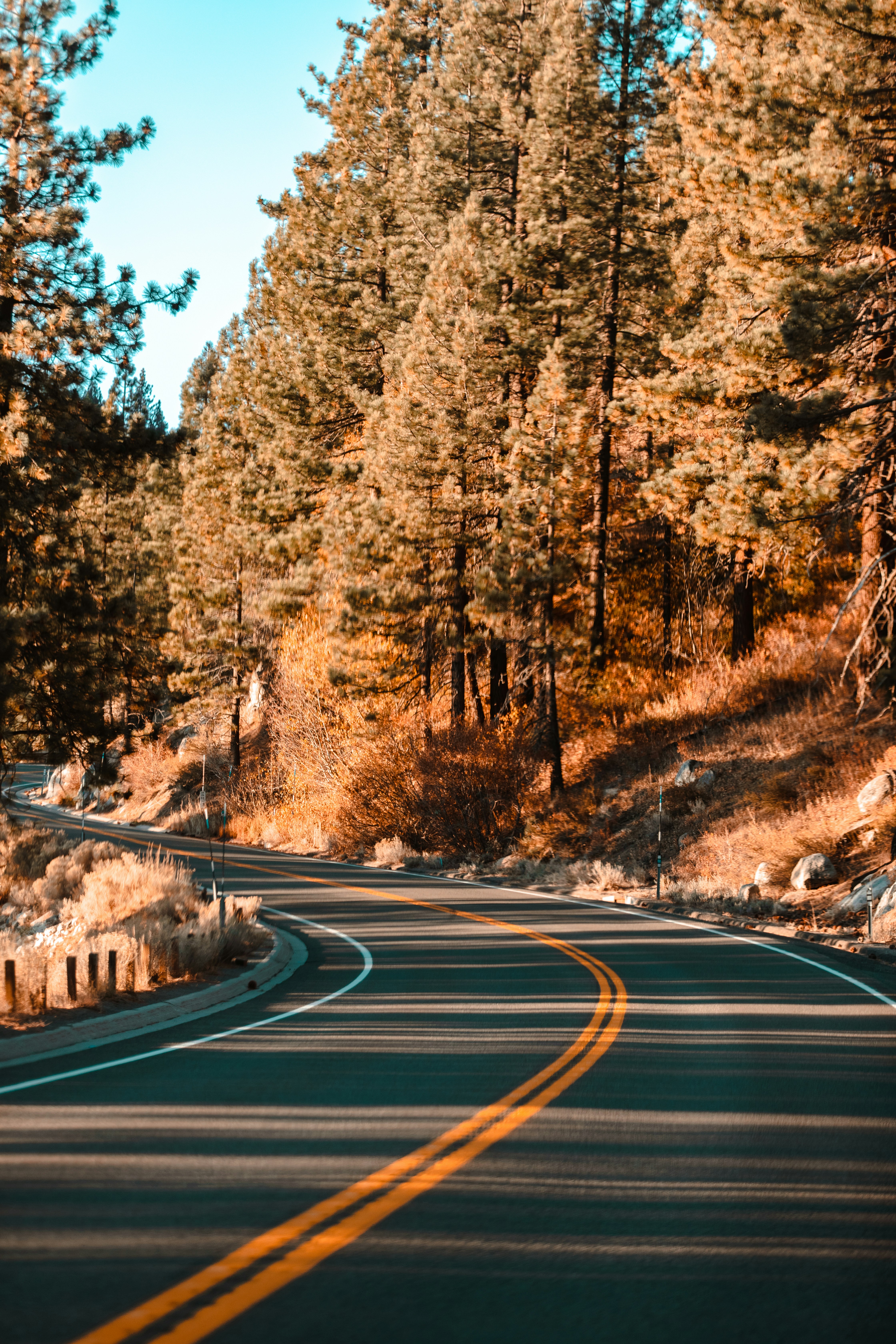 Photo by charles_escat