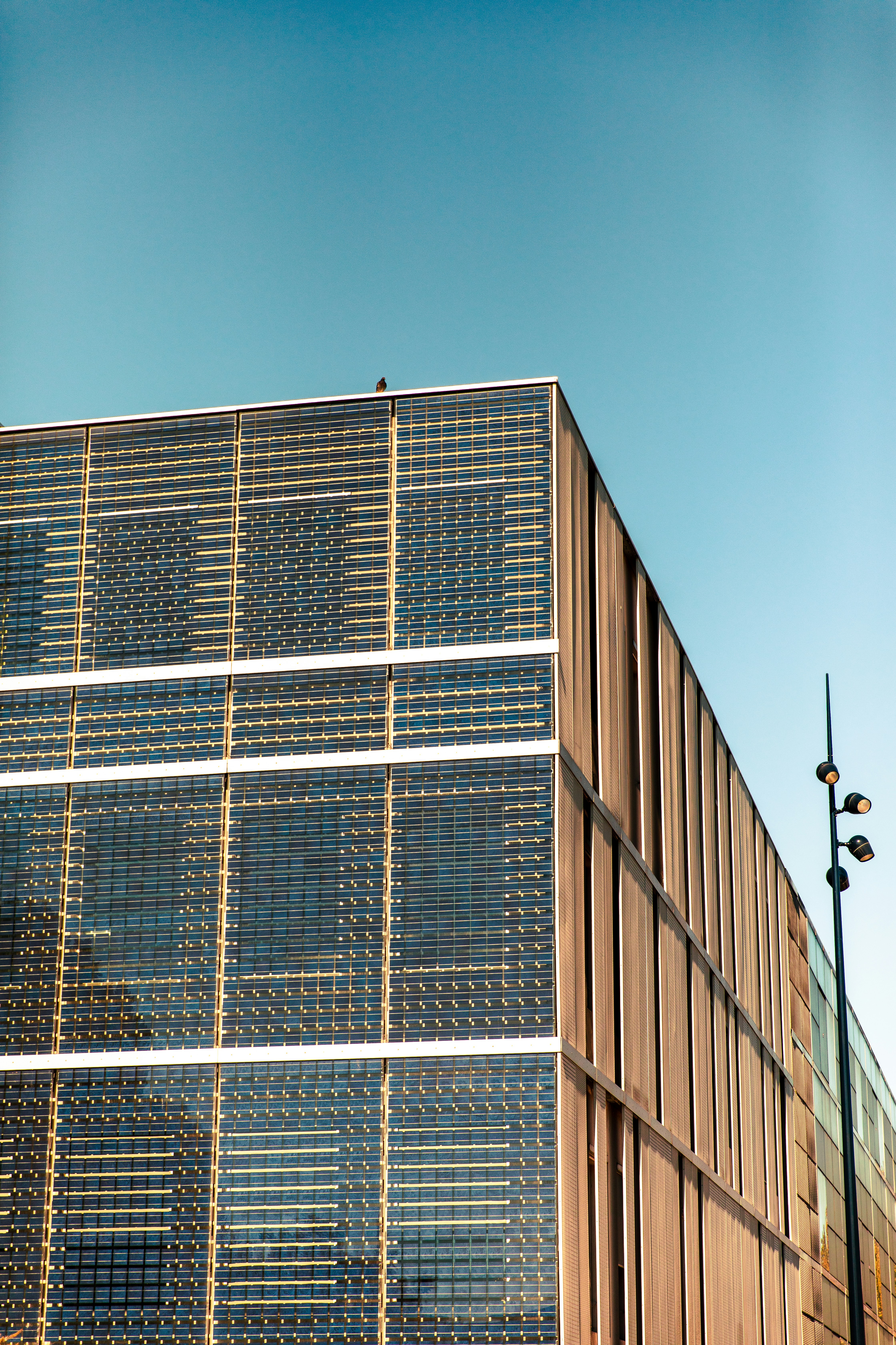 Photo by charles_escat