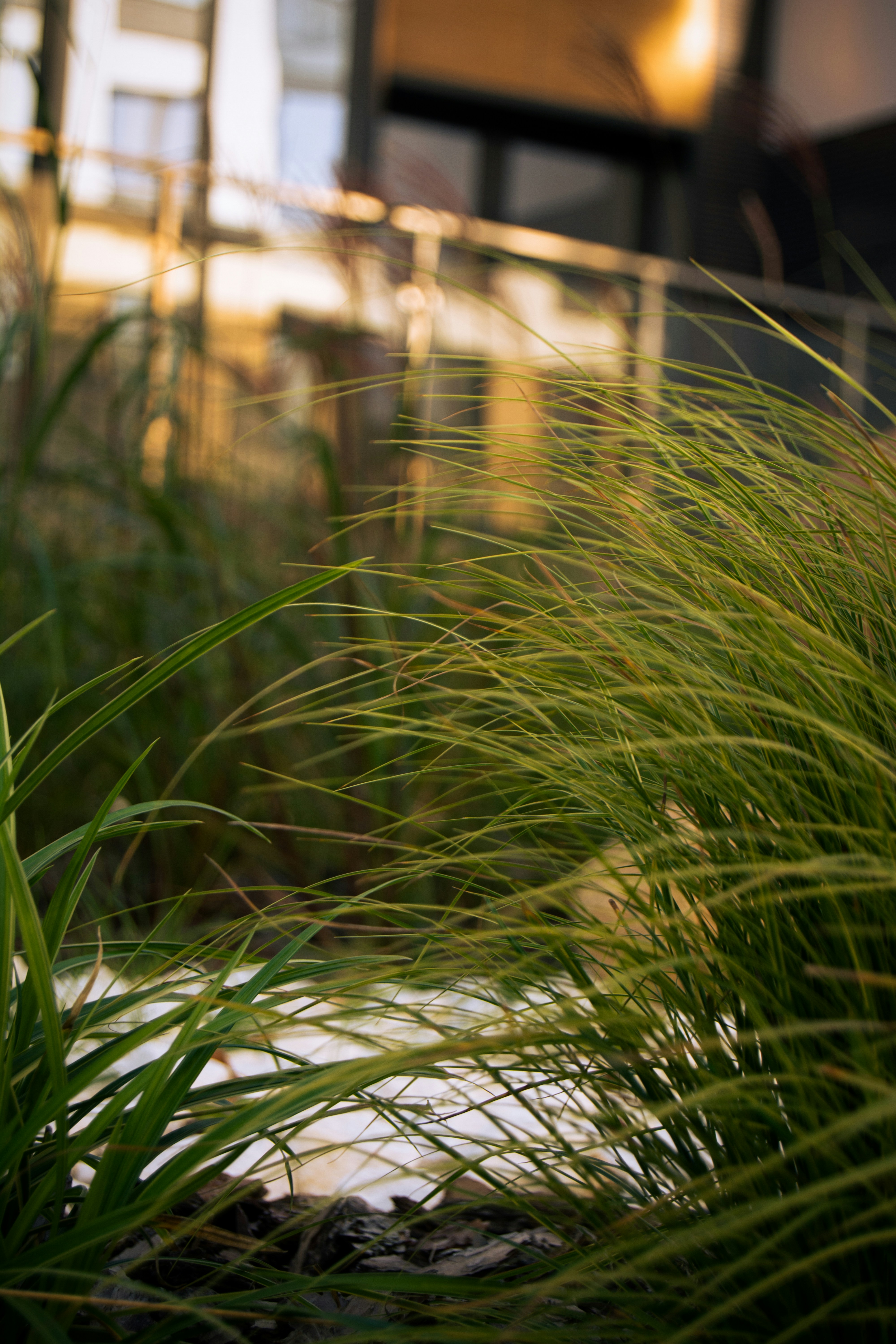 Photo by a_s1monenkov