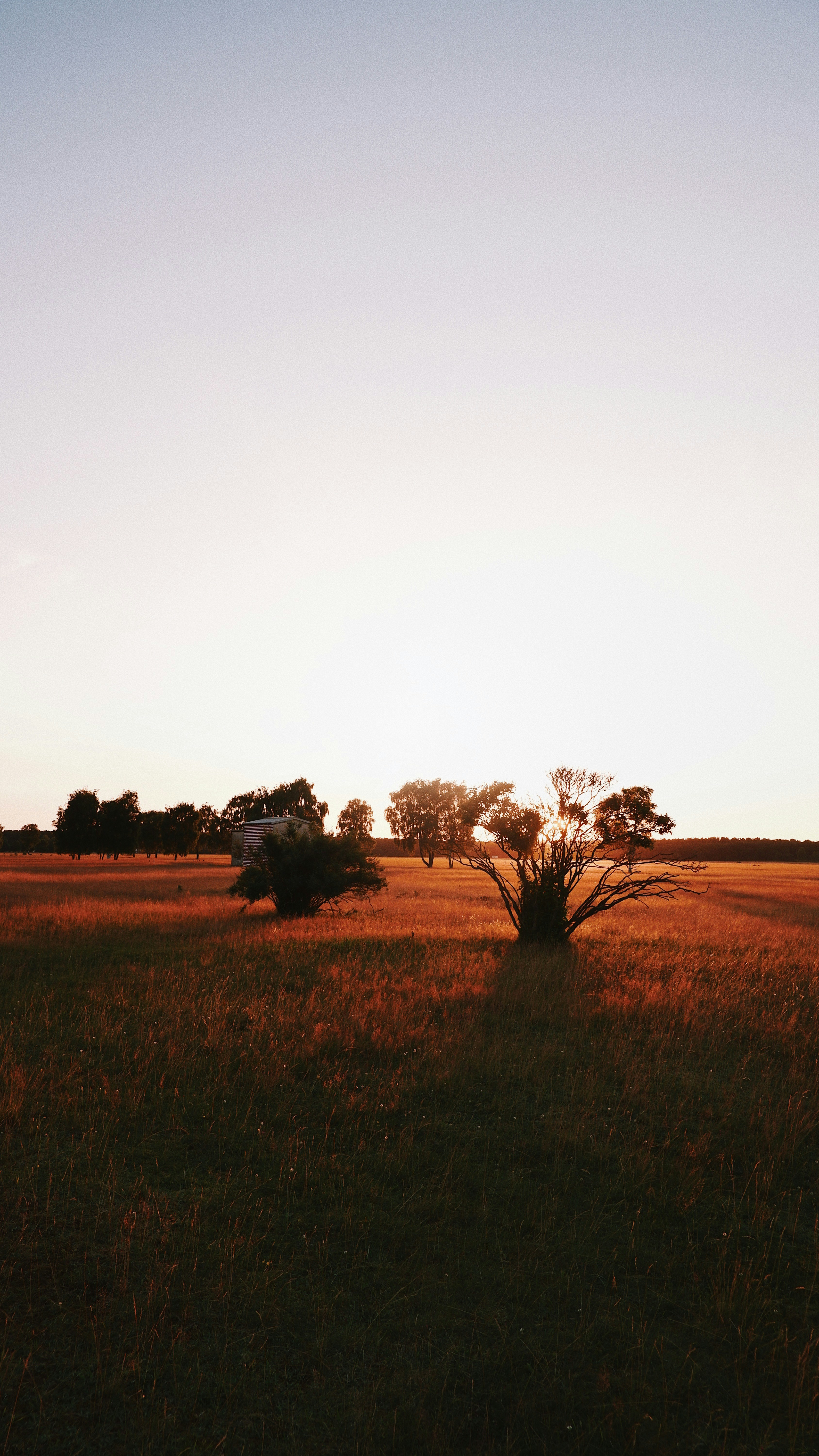 Photo by lucadahsavage