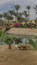 A serene landscape featuring a sandy area with two empty wooden loungers, surrounded by lush palm trees. The scene includes a calm, reflective pond bordered by a stone wall, with vibrant magenta flowers and greenery. In the background, there are beige residential buildings with arched windows.