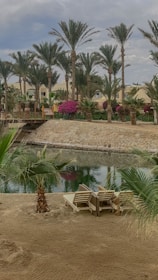 A serene landscape featuring a sandy area with two empty wooden loungers, surrounded by lush palm trees. The scene includes a calm, reflective pond bordered by a stone wall, with vibrant magenta flowers and greenery. In the background, there are beige residential buildings with arched windows.