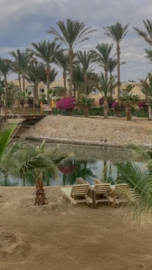 A serene backyard landscape showcasing tropical plants and a relaxing seating area.