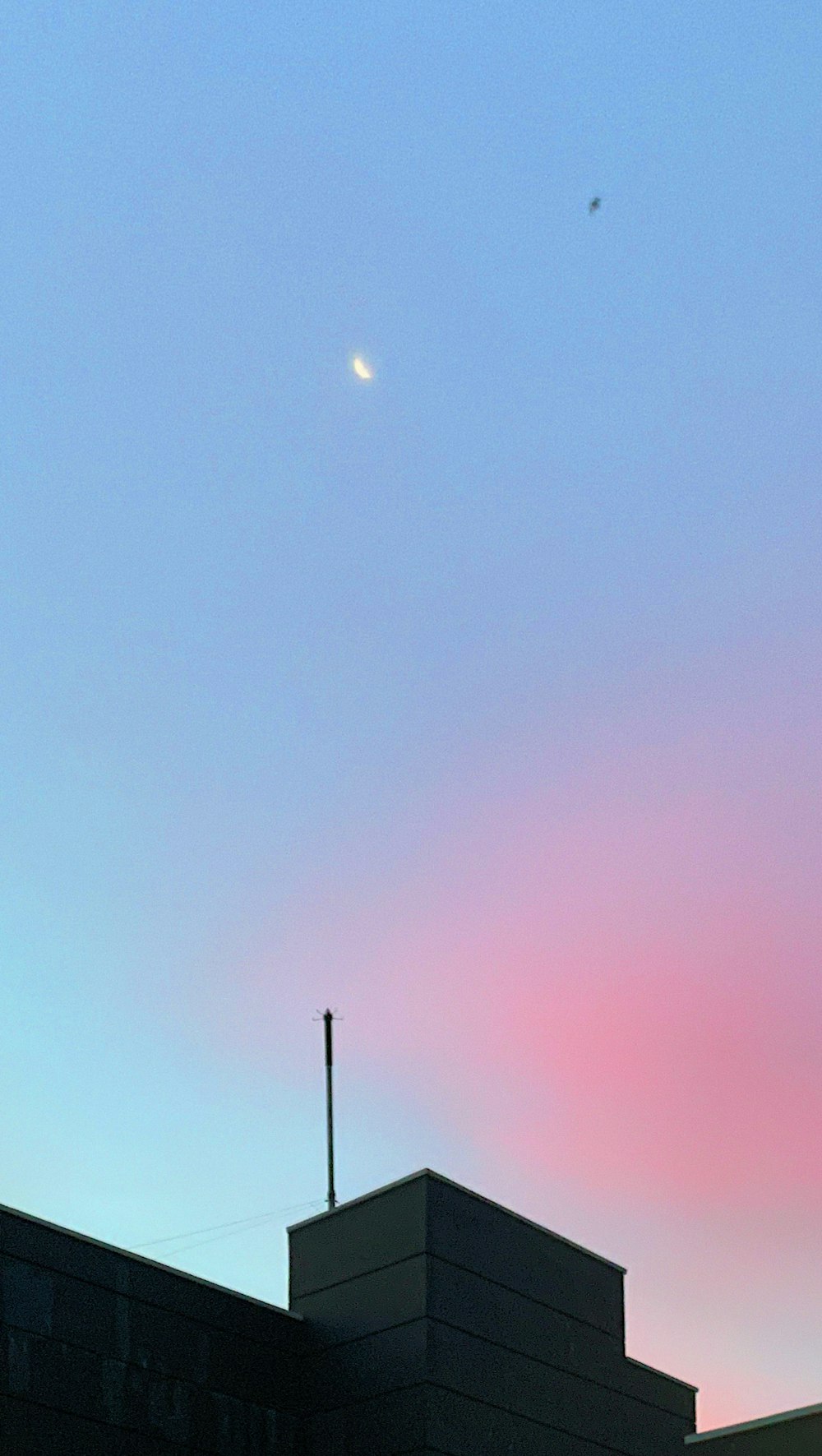 a bird flying over a building with a pink sky in the background