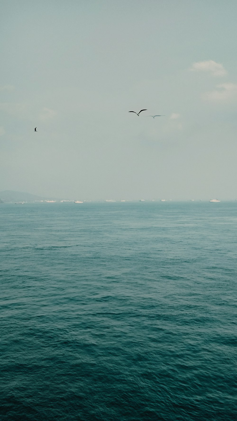 a couple of birds flying over a large body of water