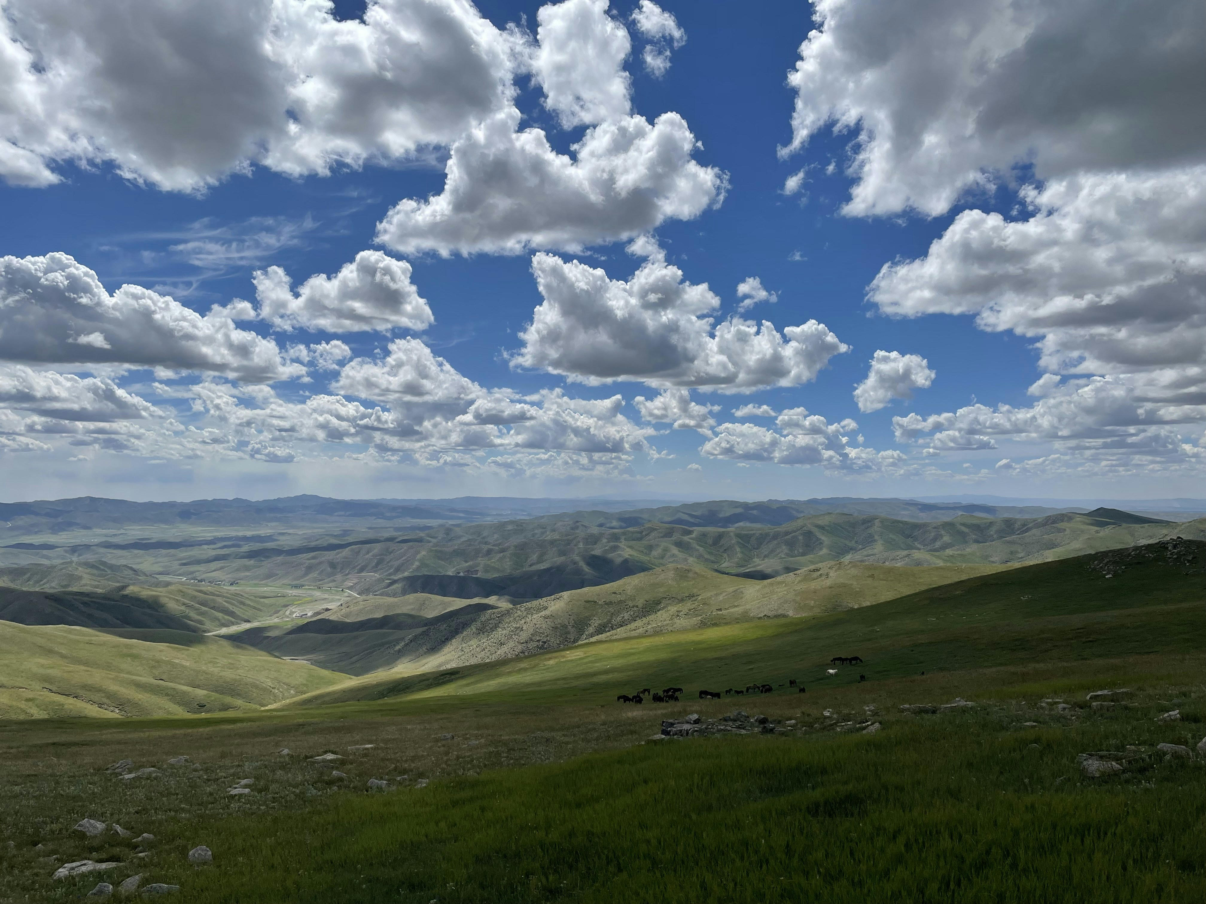 Photo by broccolihht