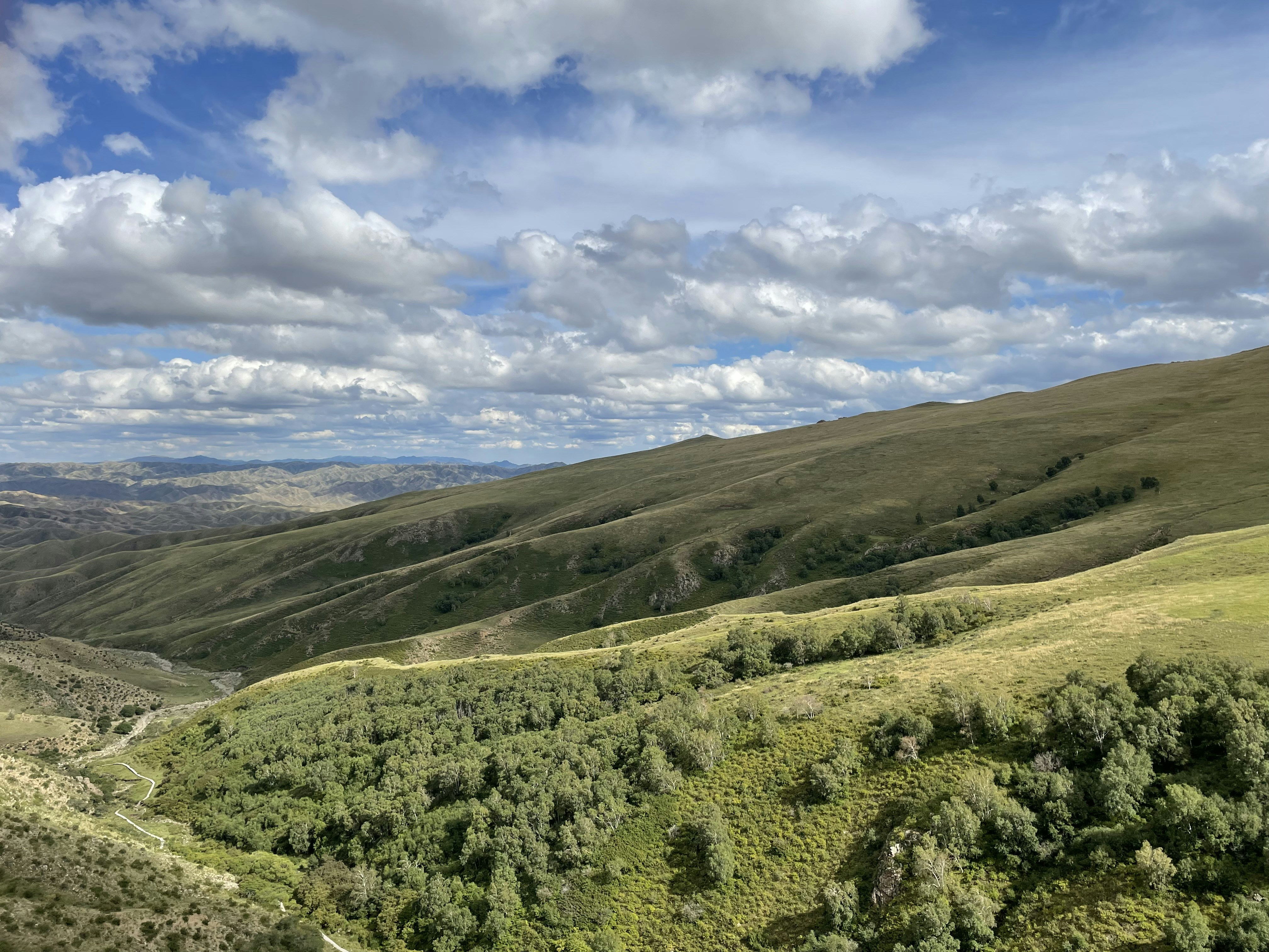 Photo by broccolihht