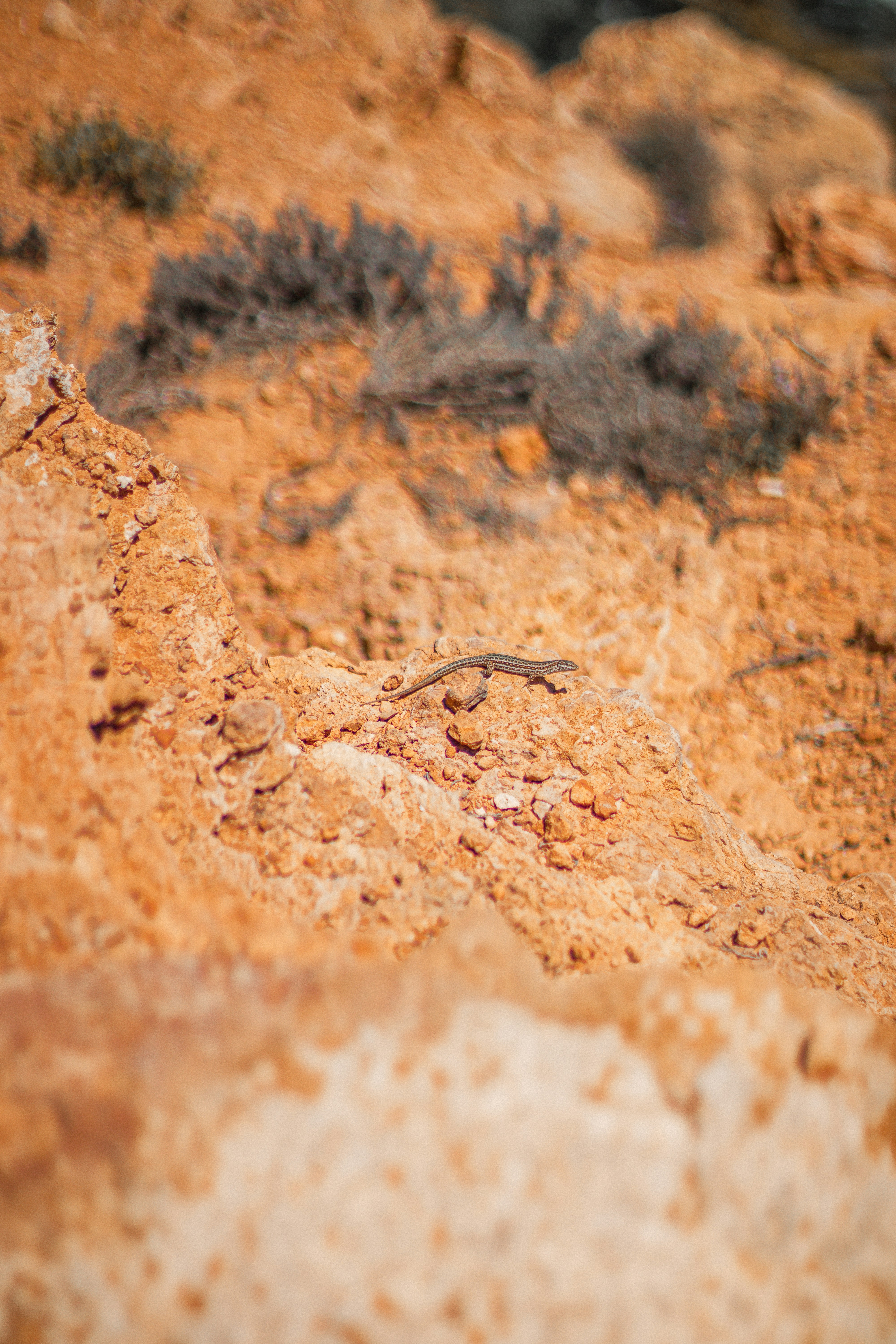 Photo by valentinlacoste