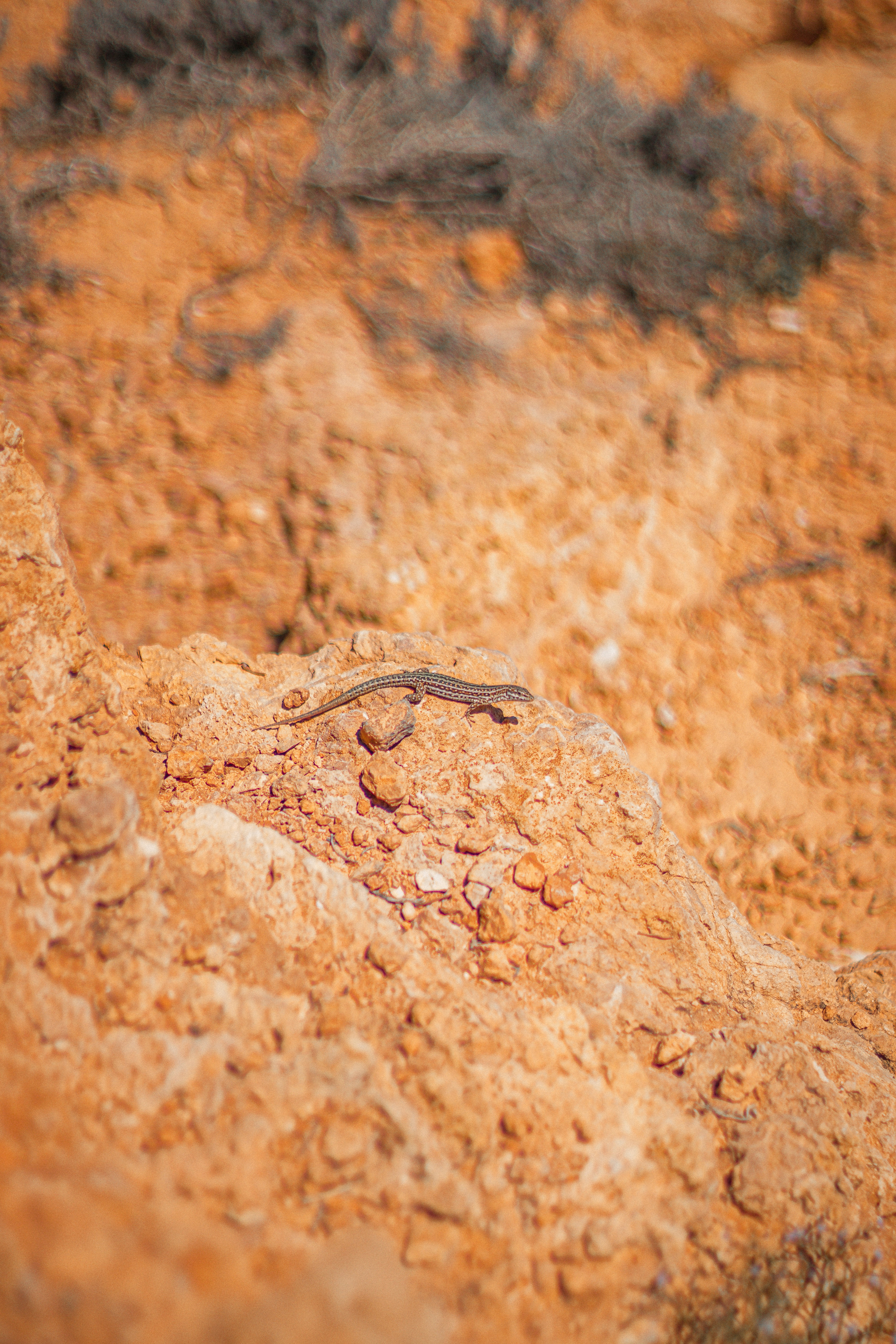 Photo by valentinlacoste