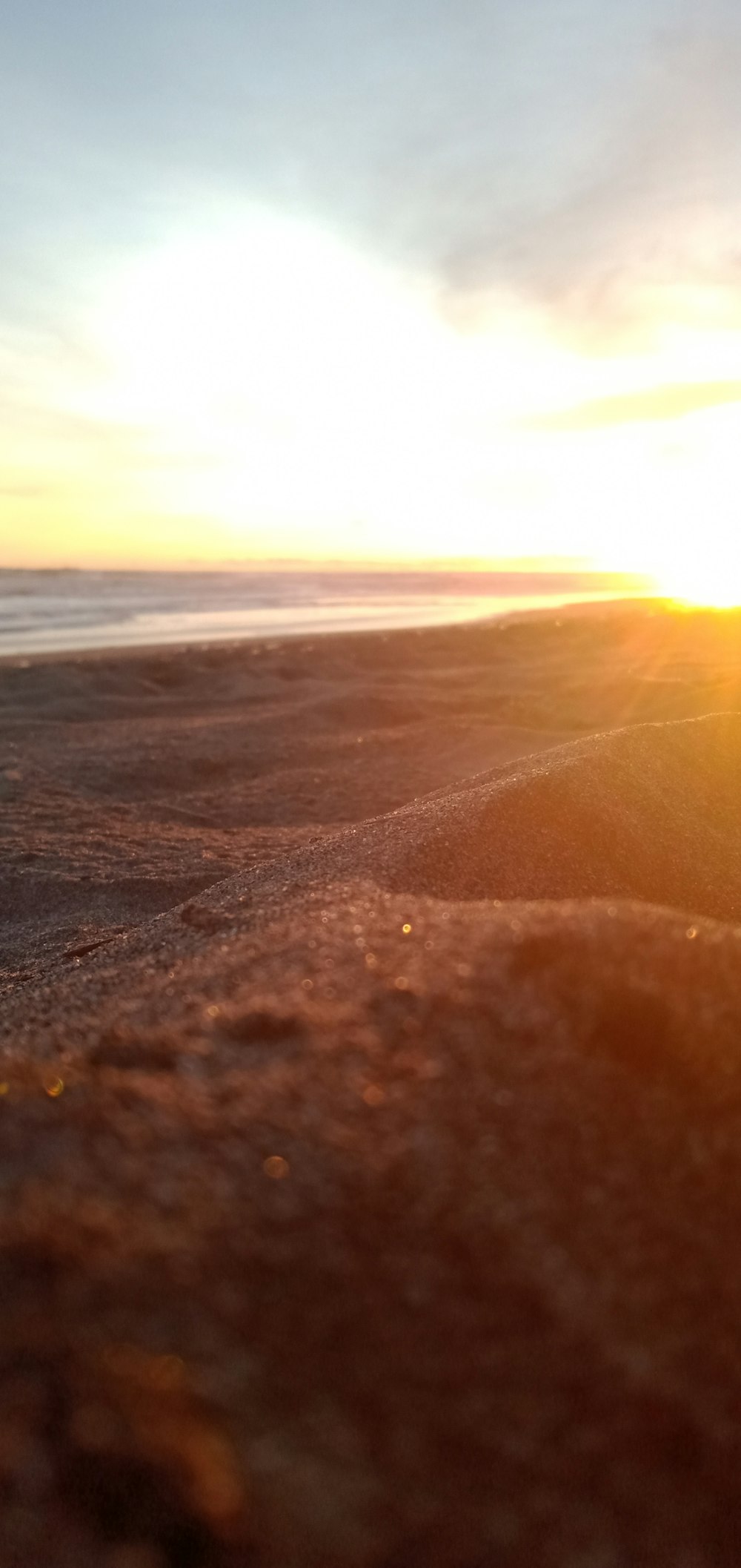une planche de surf posée au sommet d’une plage de sable
