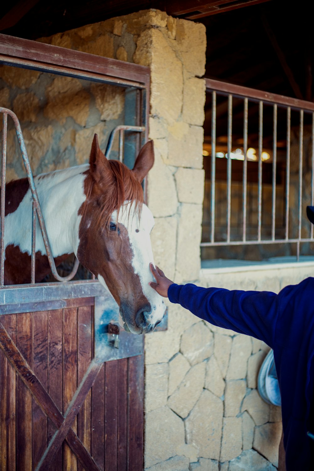 a man is petting a horse in a stable