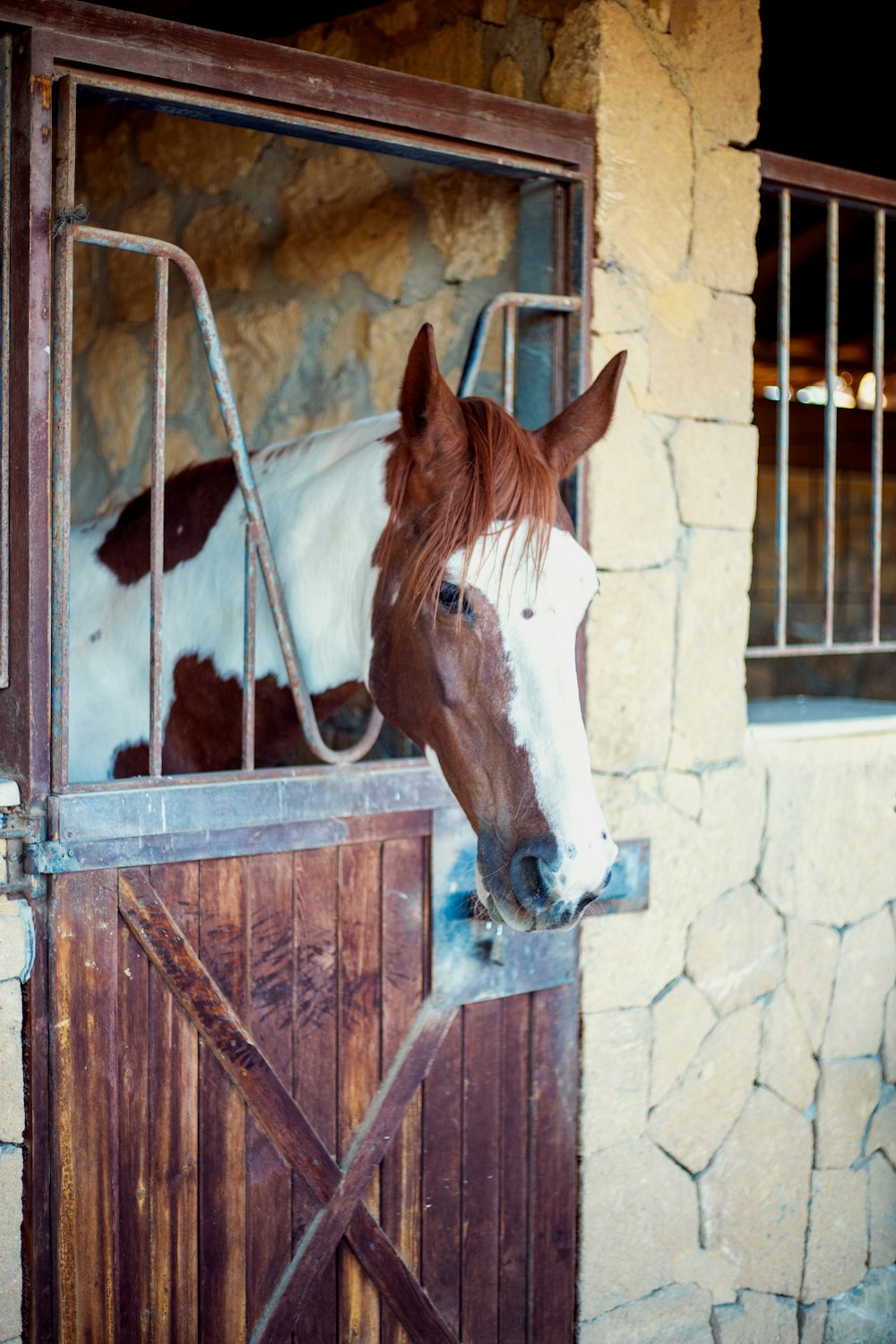 a brown horse standing next to a brick wall