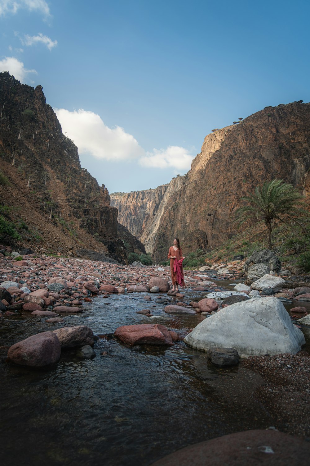 a woman in a red dress standing in a river