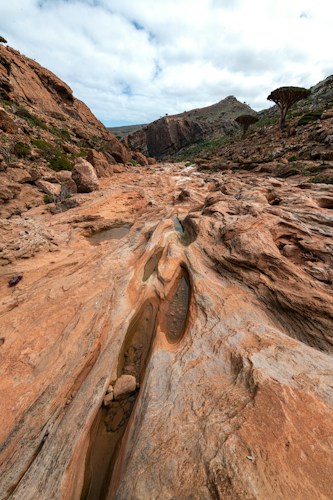 Socotra: The Alien Island of the Arabian Sea