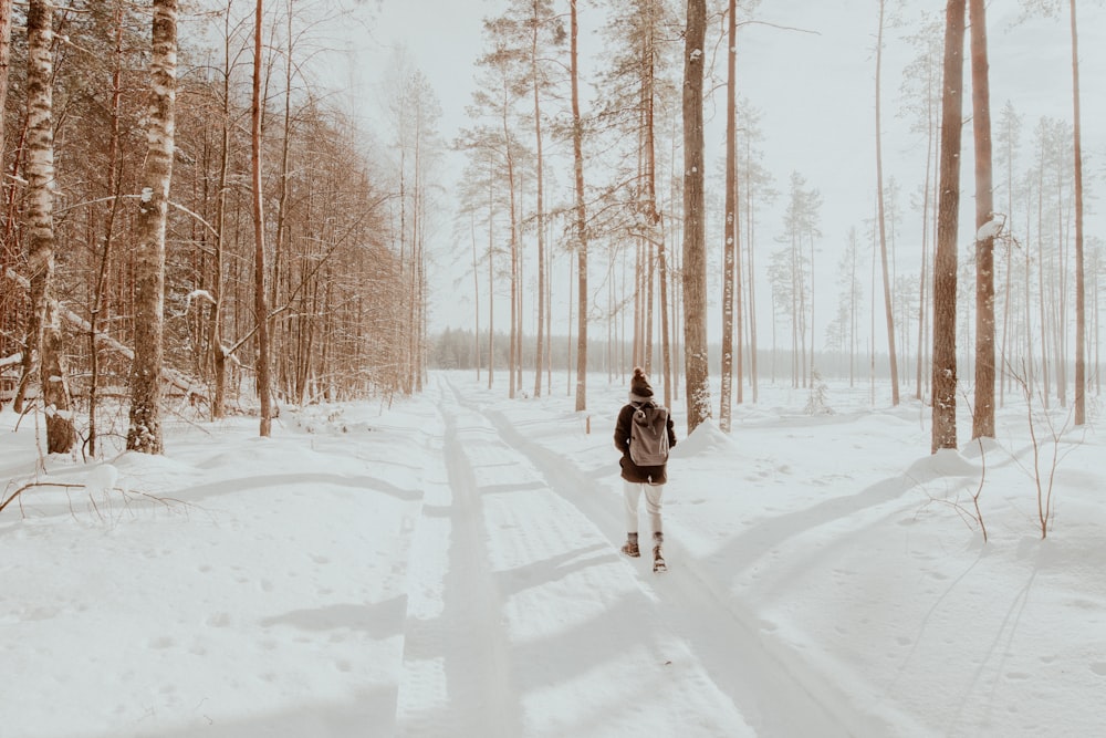 a person walking in the snow in the woods