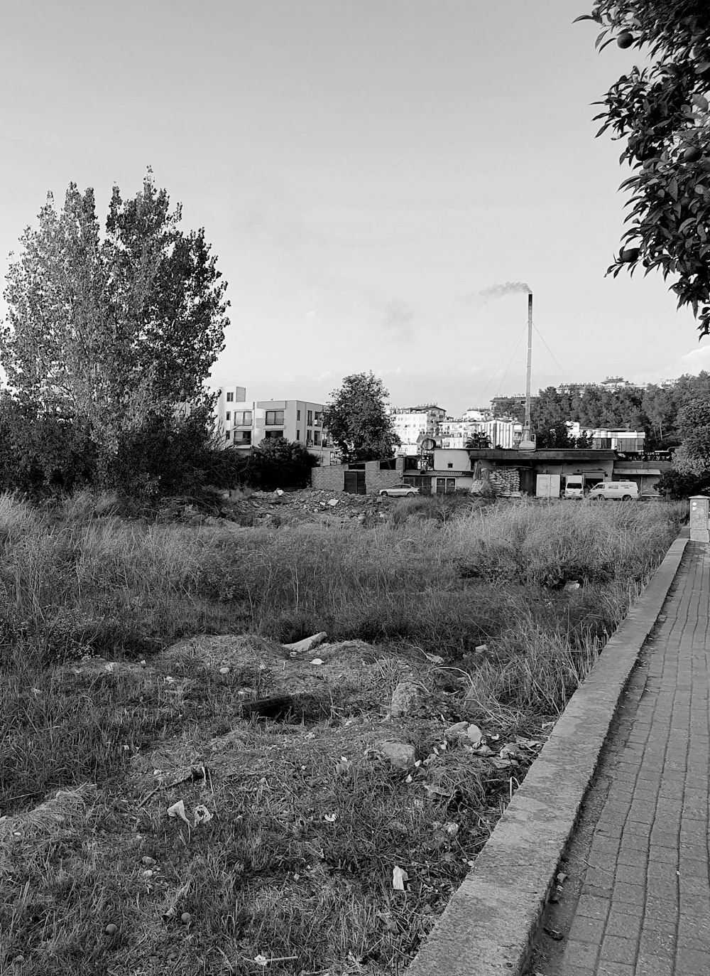 Una foto en blanco y negro de un campo con edificios en el fondo