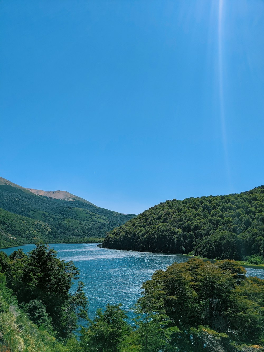 a large body of water surrounded by trees