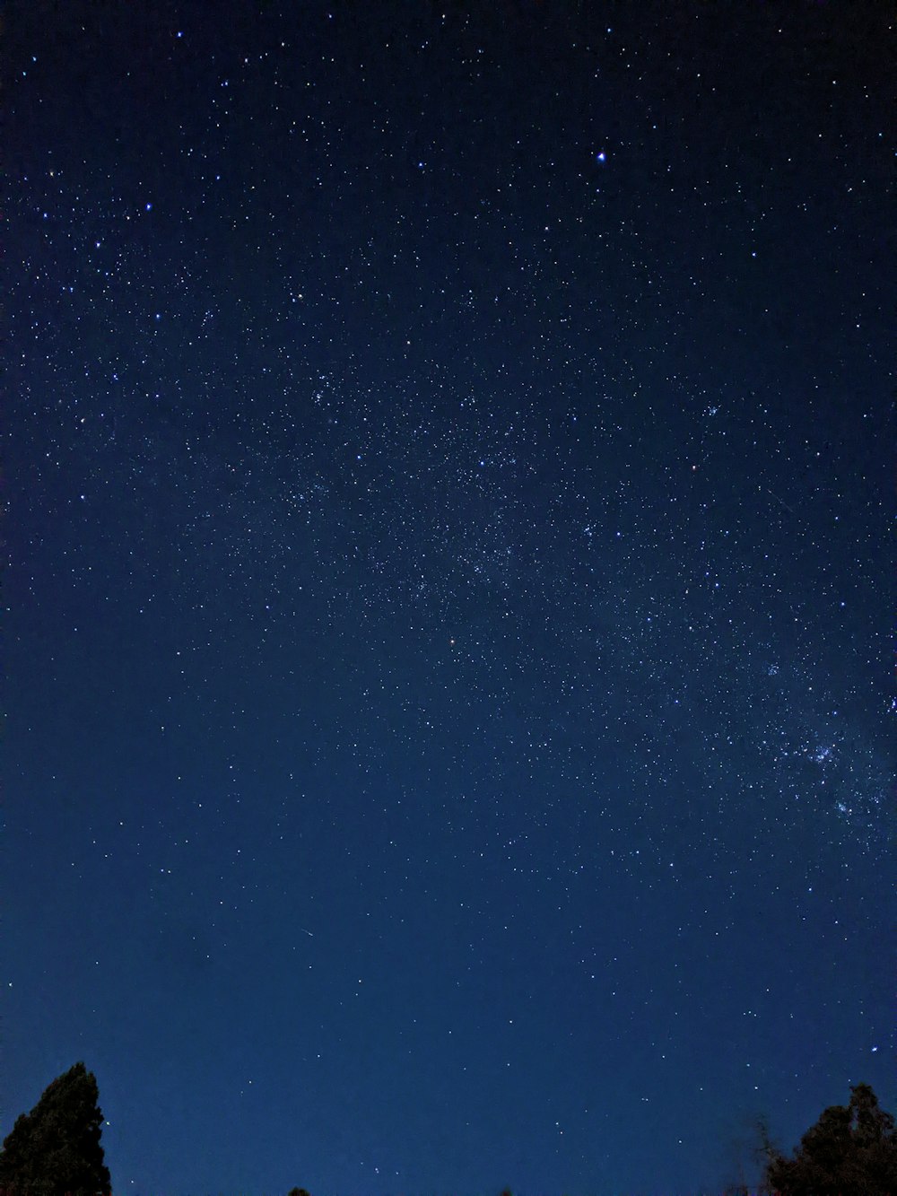 the night sky with stars and trees in the foreground