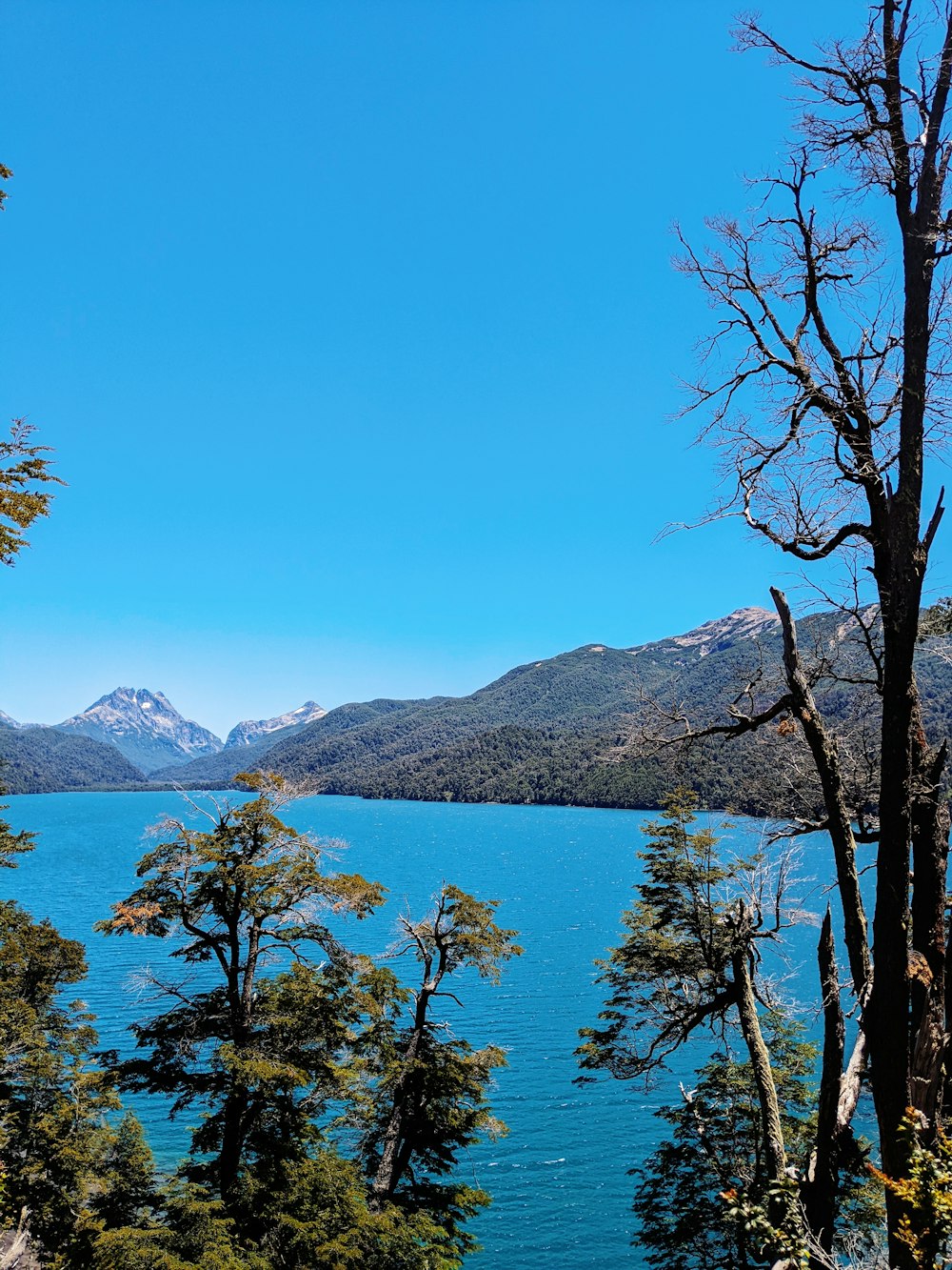 a scenic view of a lake surrounded by mountains