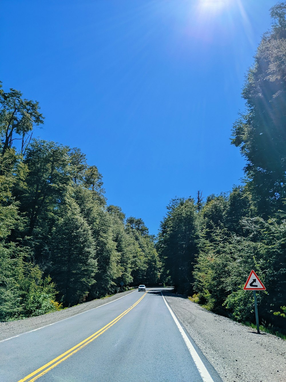 the sun shines brightly on a road surrounded by trees