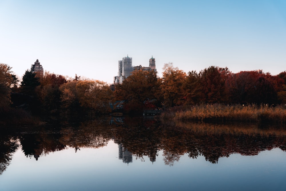 a body of water surrounded by trees and buildings