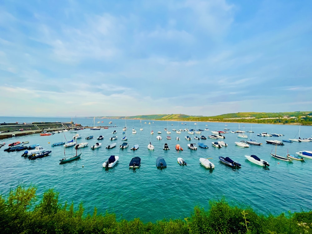 a large body of water filled with lots of boats