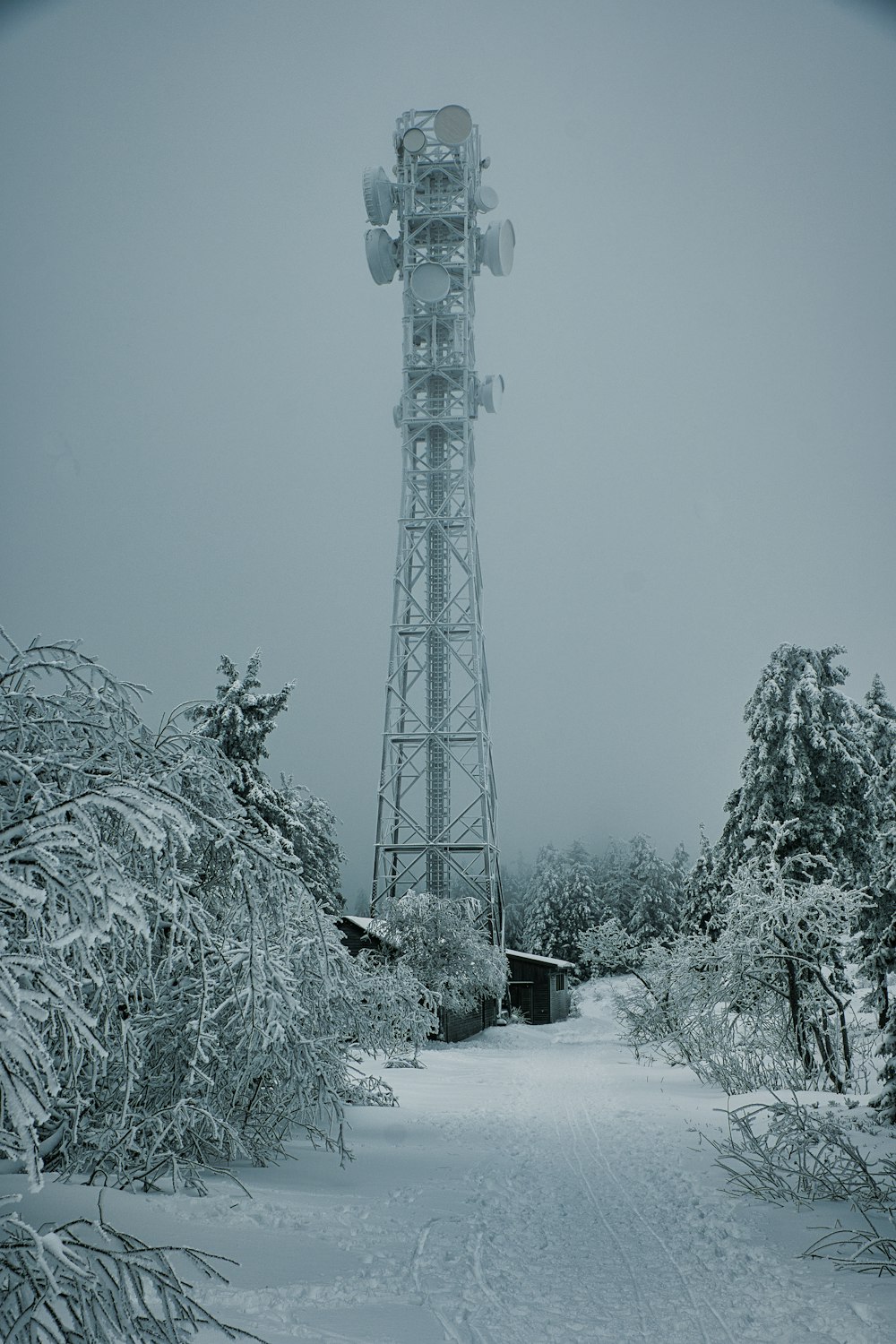 a tall tower sitting above a snow covered forest