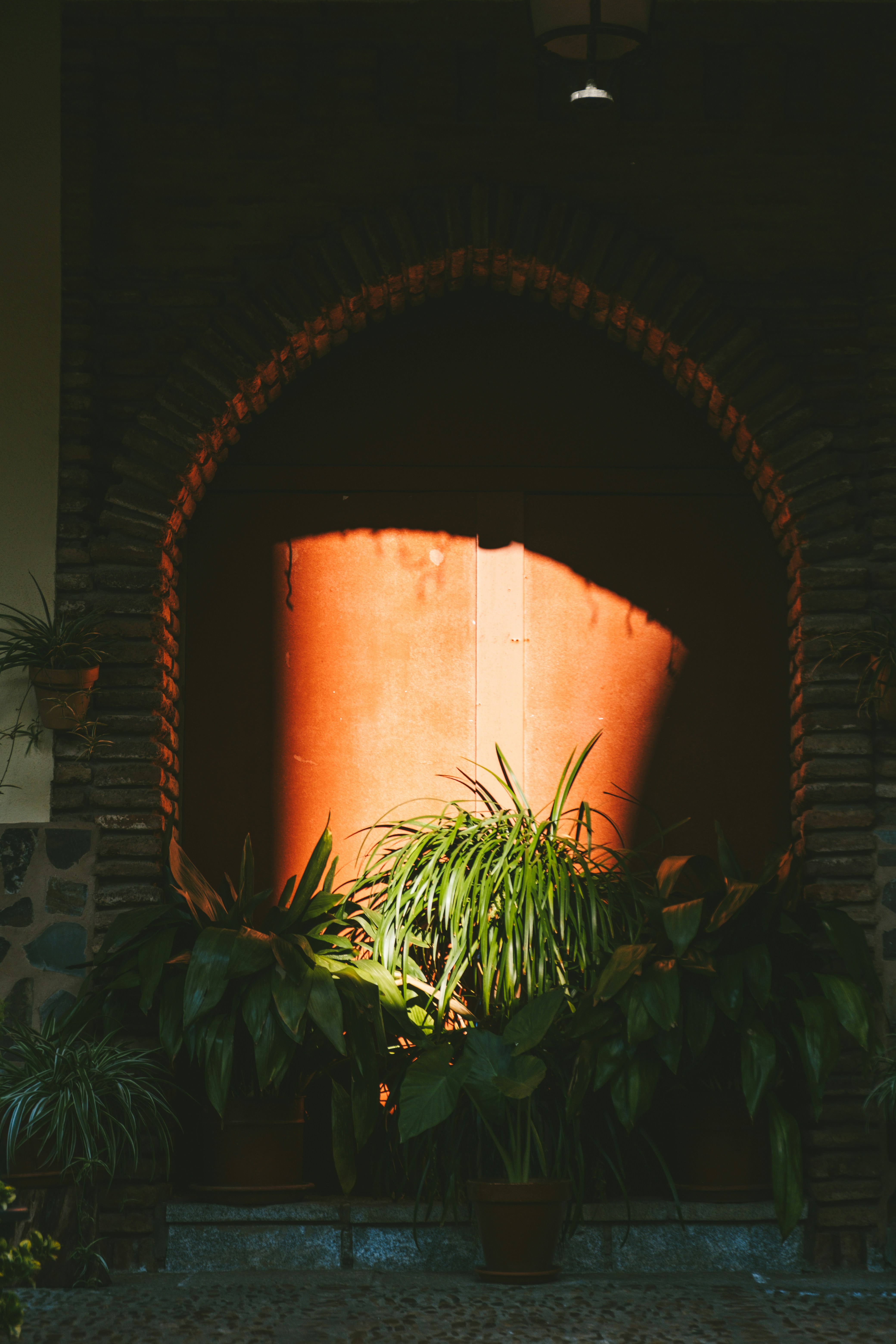 Photo by alexandra_salvado