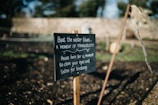 A wooden sign in a garden setting with text encouraging people to pause and enjoy tranquility. The sign is surrounded by natural elements like soil and plants, with blurred greenery in the background.