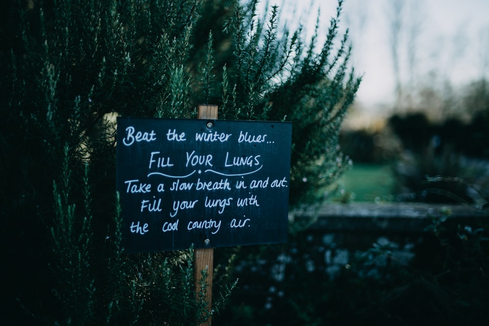 a sign on a wooden post in front of a bush