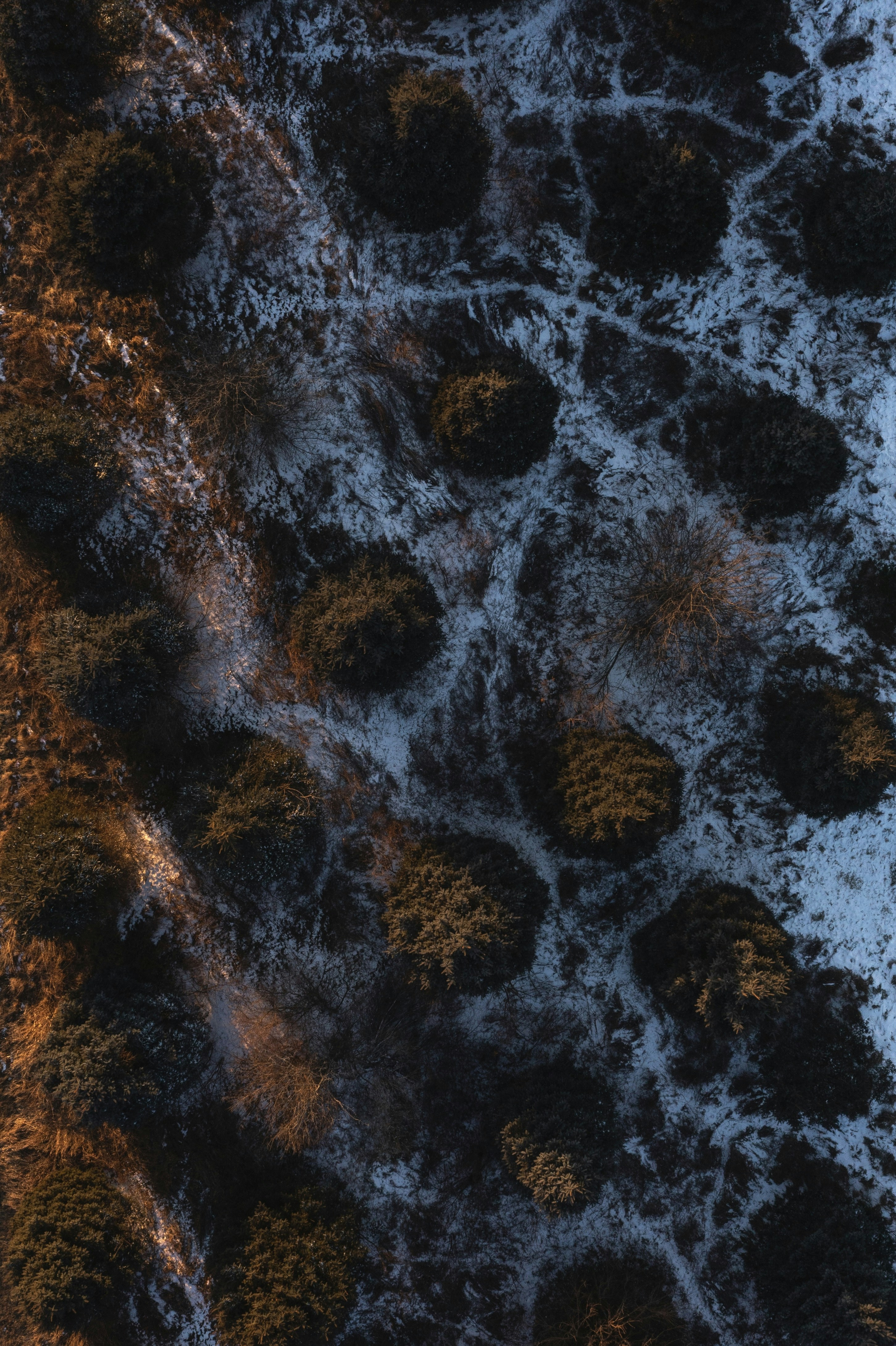 Photo by ________________1a