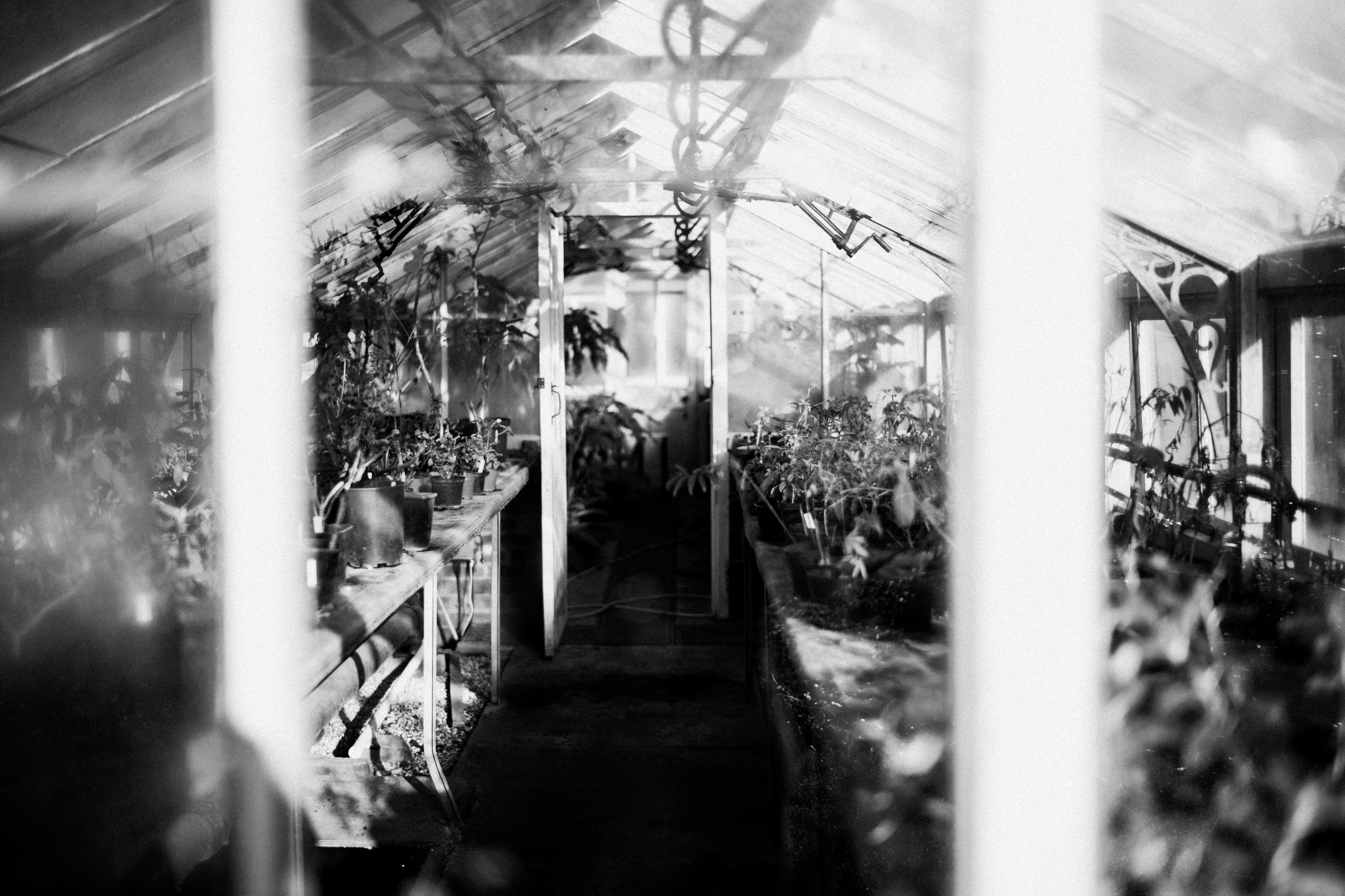 Miirror / Mirror