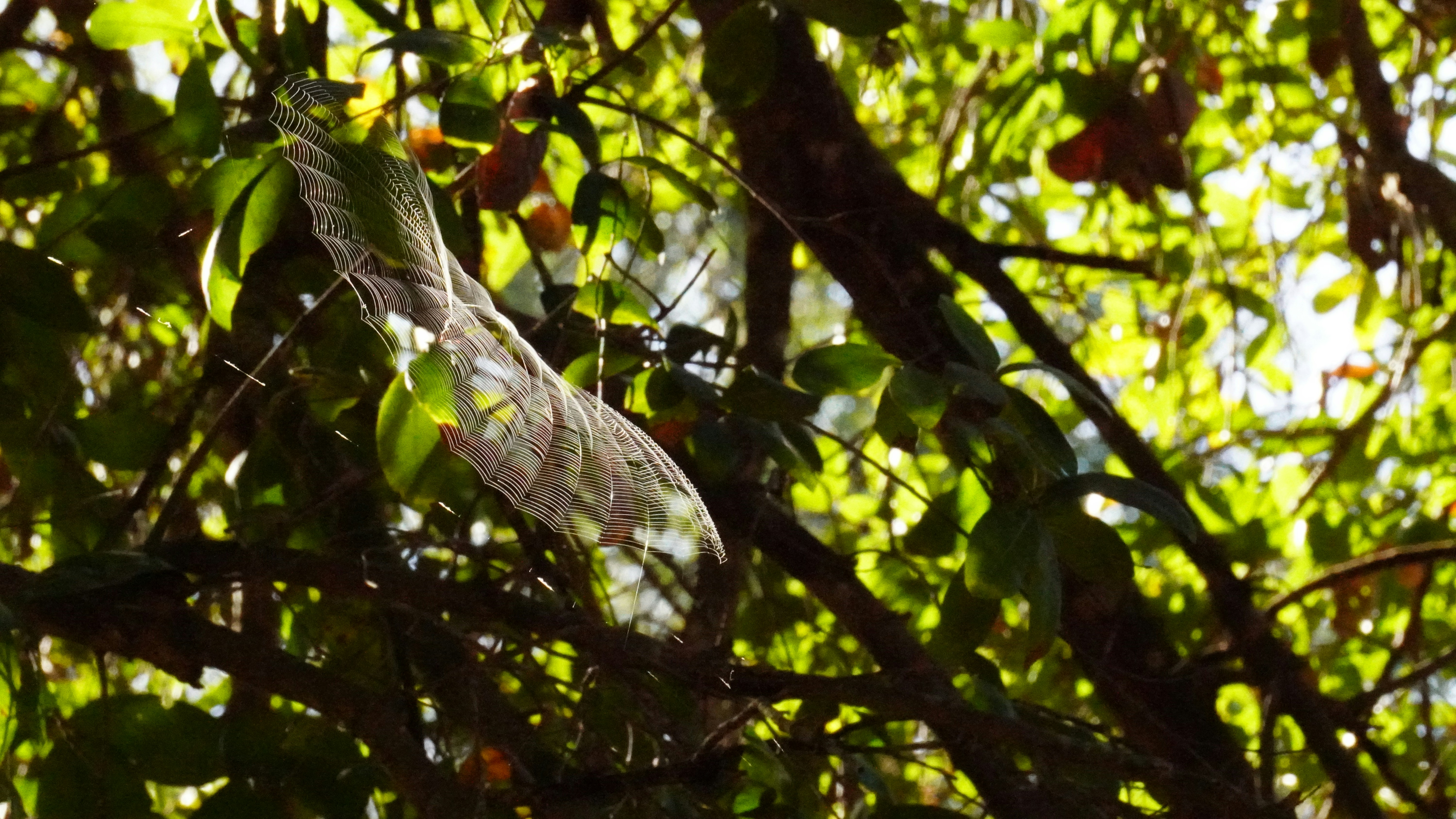 Harvest, Digest, and Integrate | Soft Structure into Fall Offerings