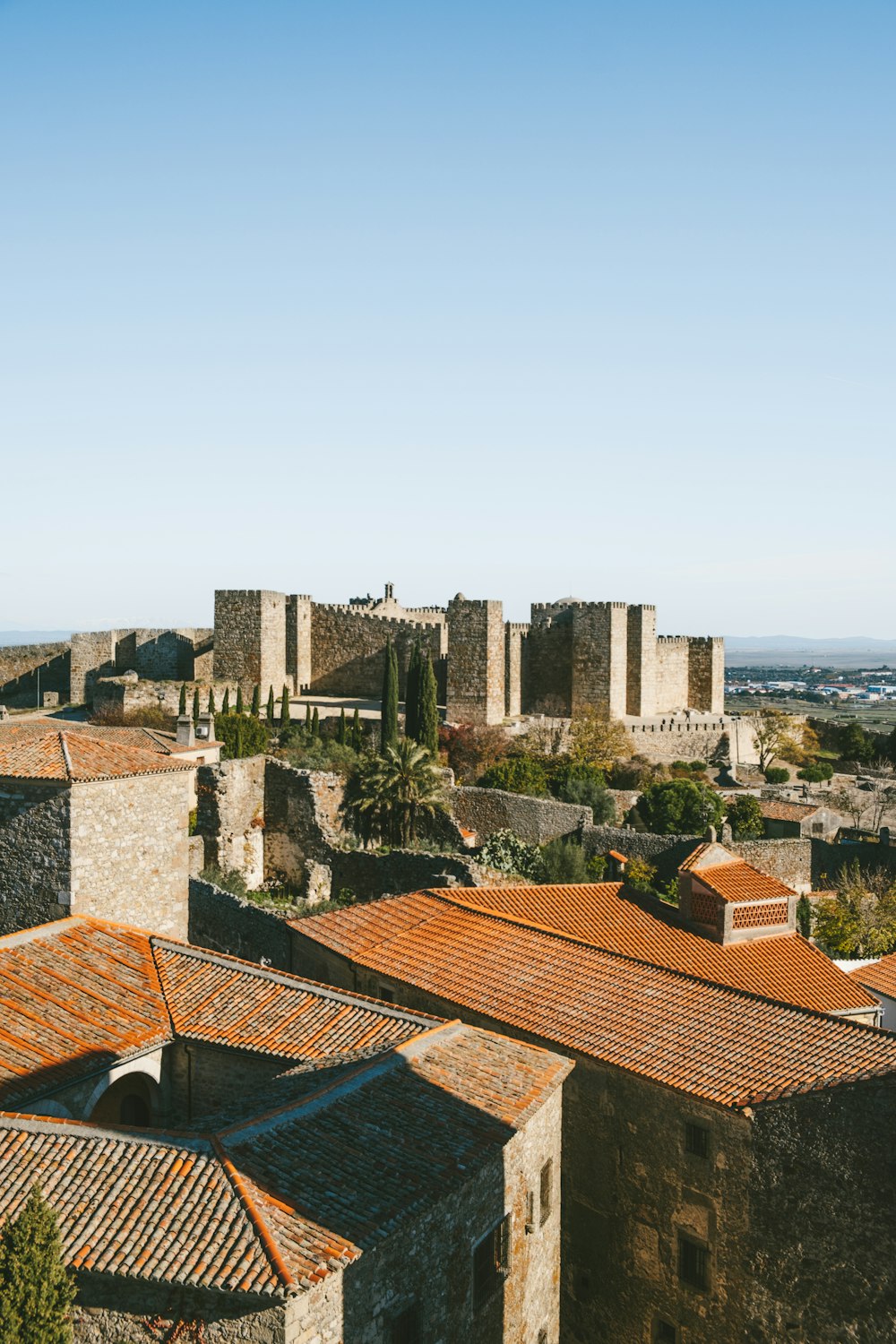 a view of a city with a castle in the background