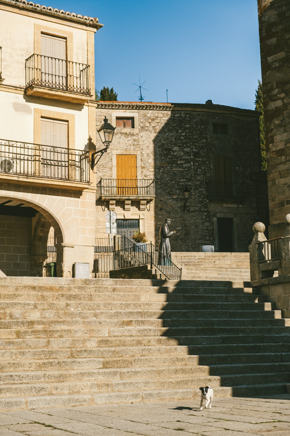 a dog is walking down a set of stairs