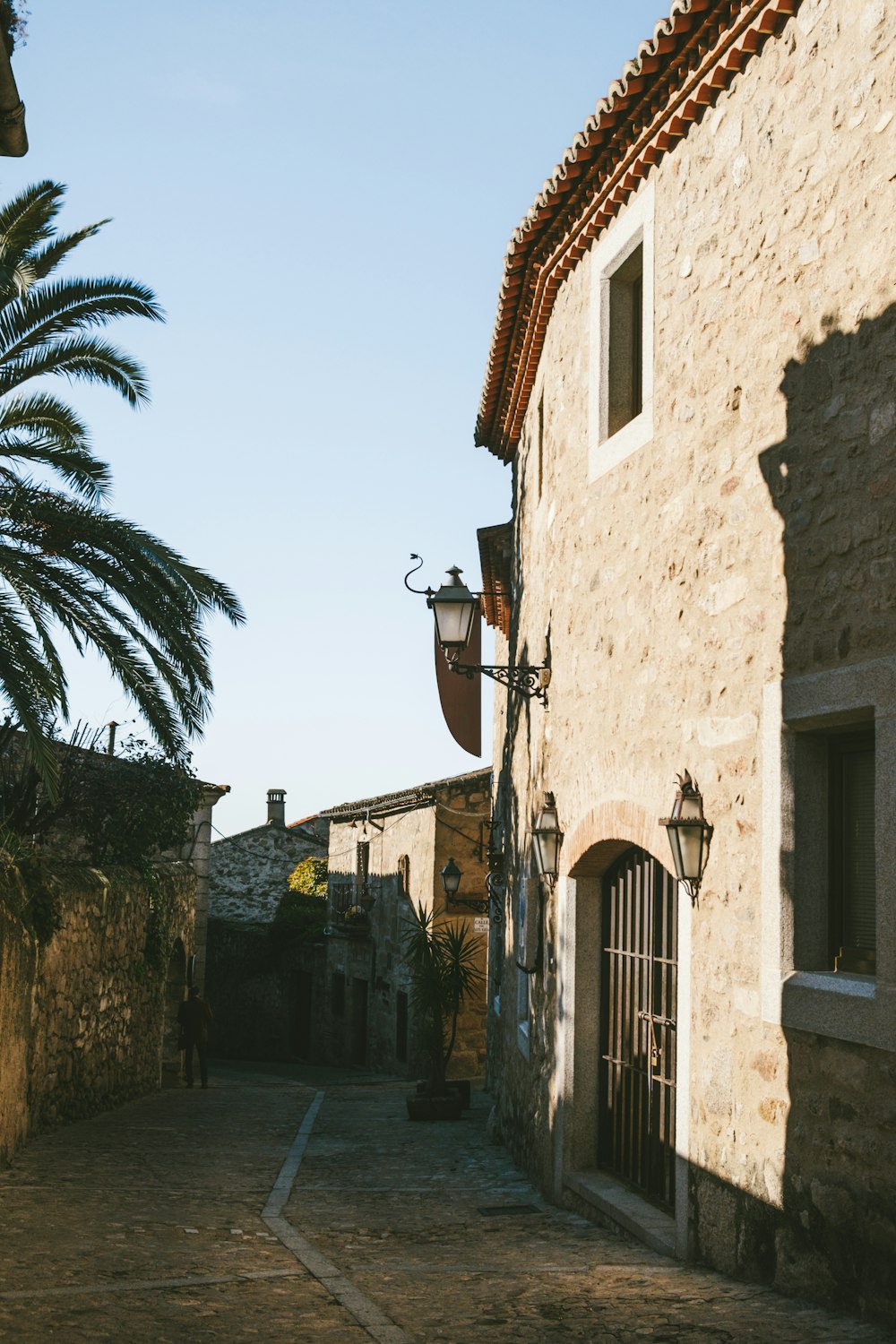 an alley way with a palm tree in the background