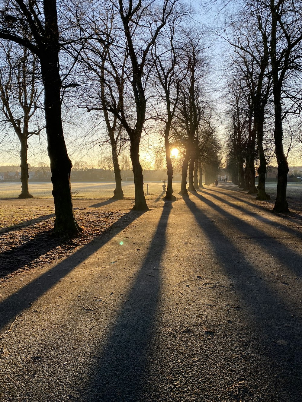 the sun is shining through the trees on the side of the road