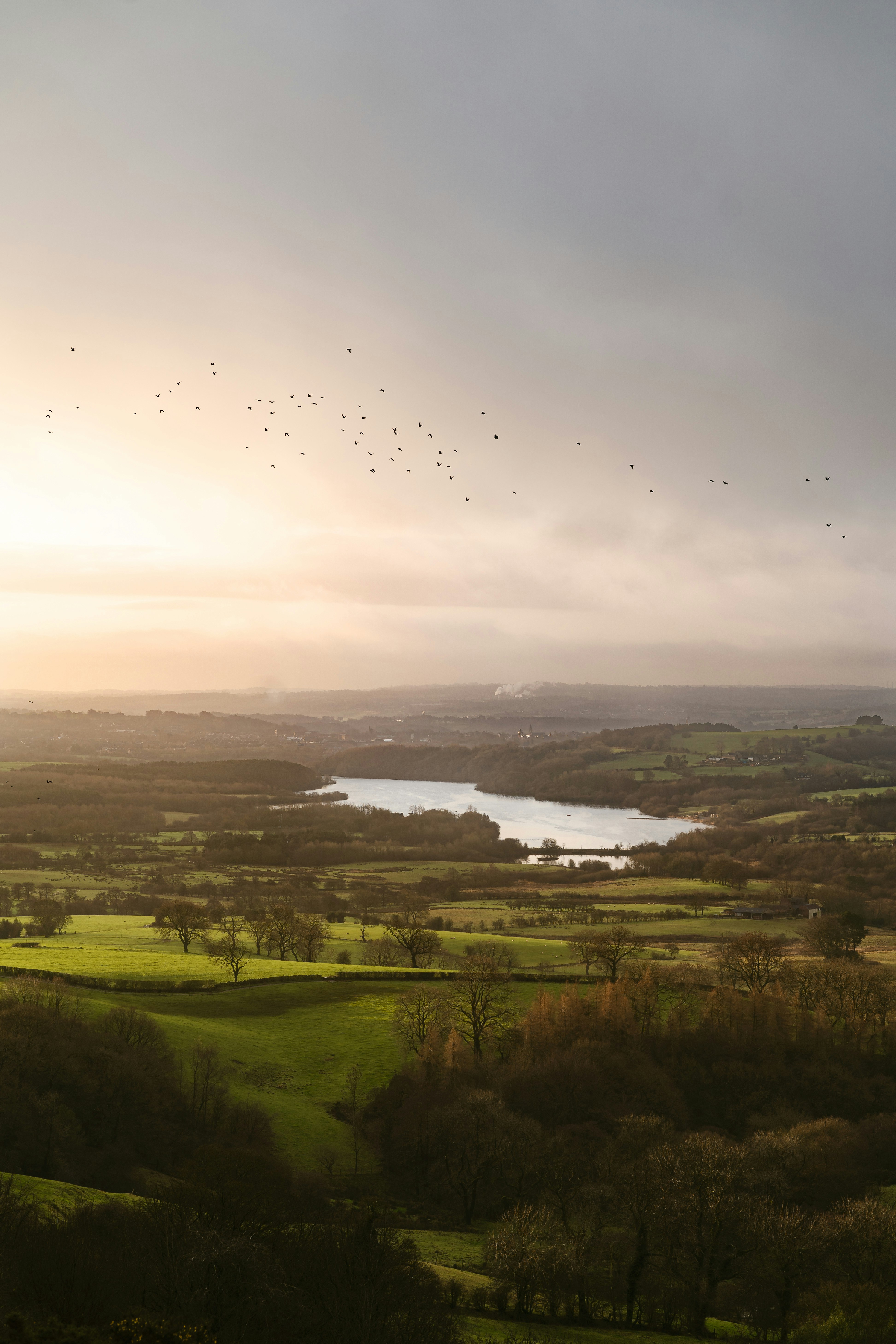 Photo by jammydodger22